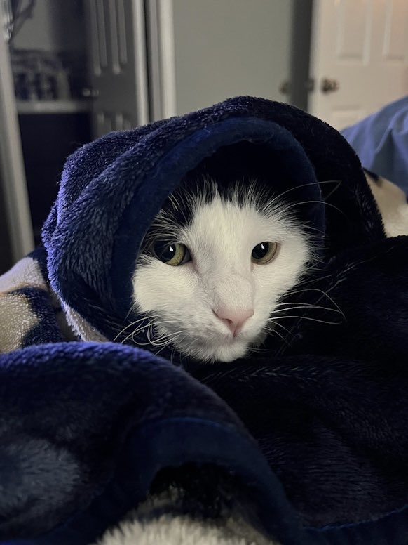 Hoodie Clara