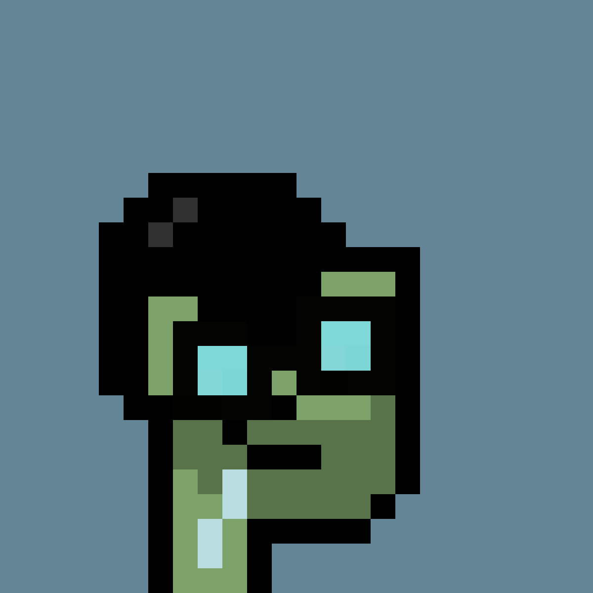 PNUKS #3061