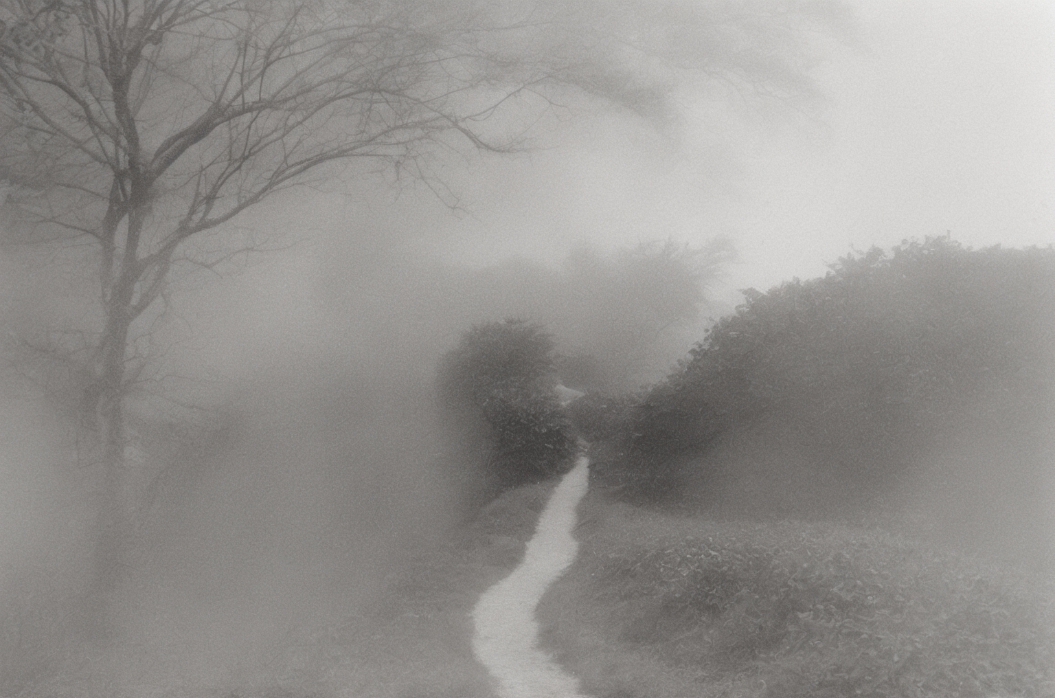 Find Your Way Home #109