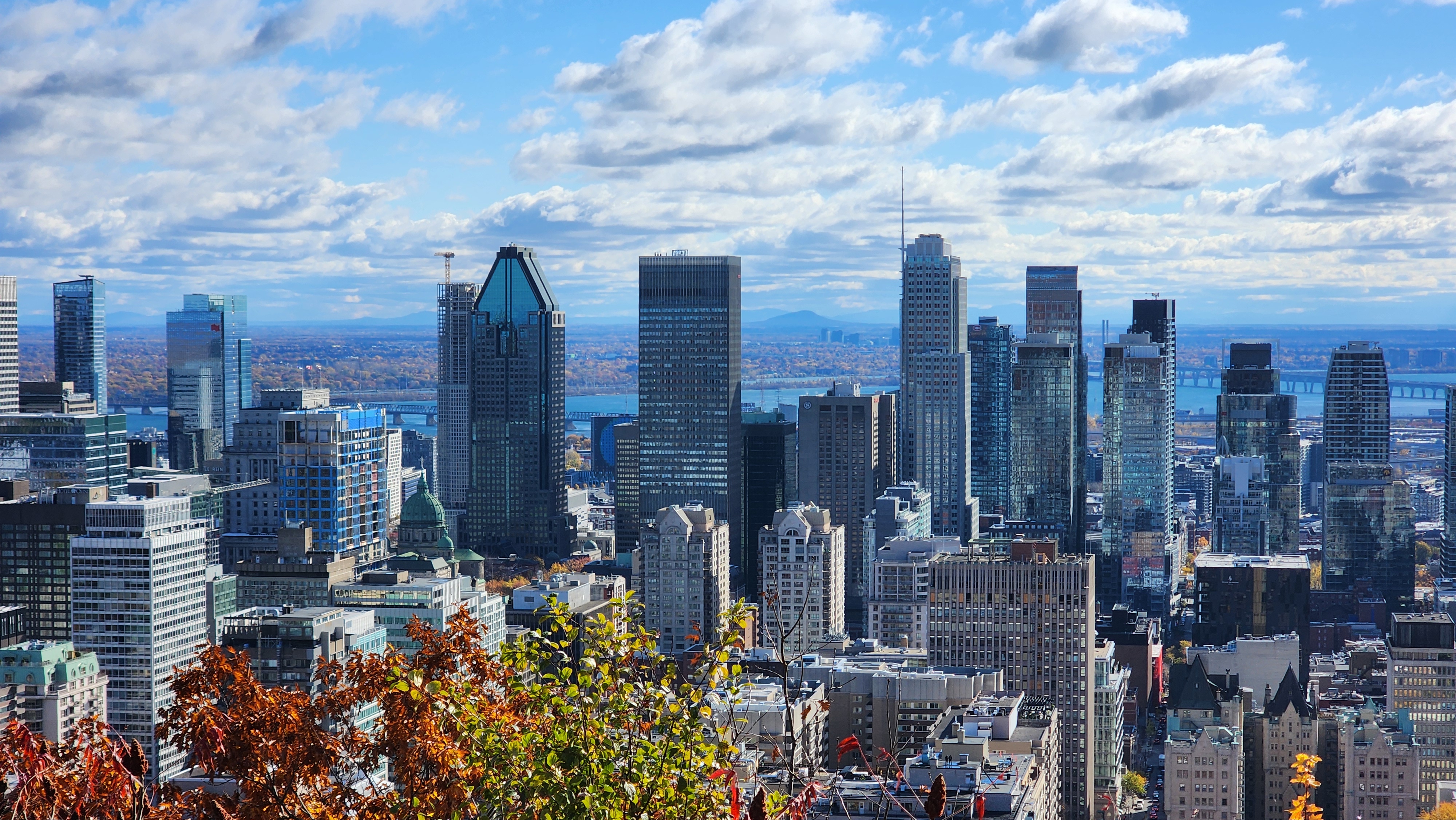 Mont Royal #20