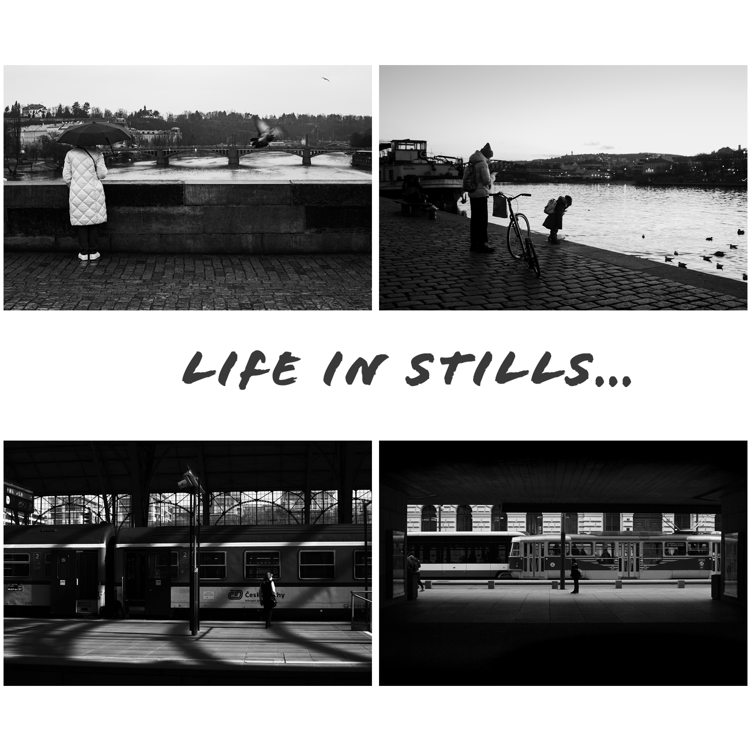 Life in stills...