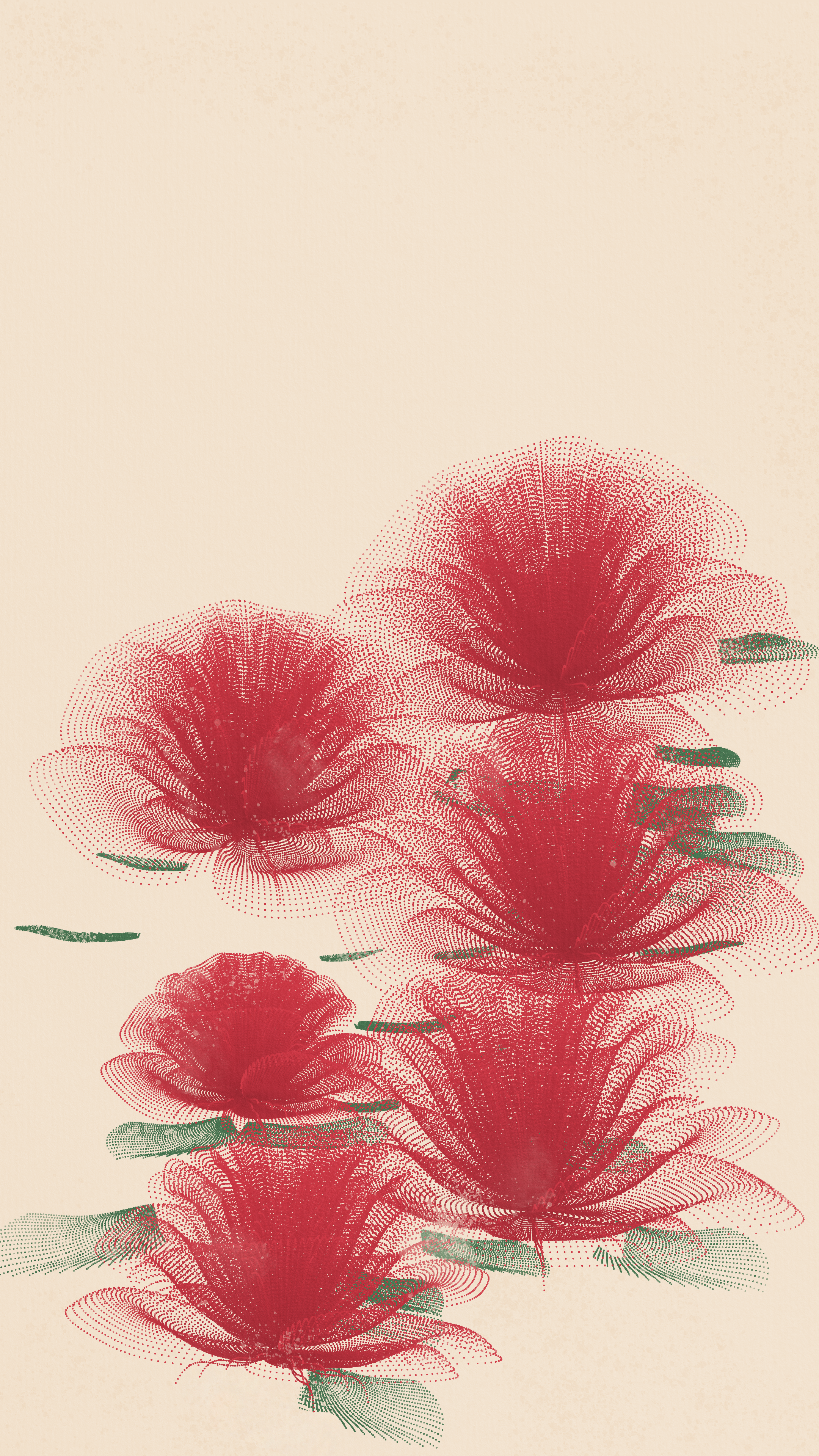 🌹🌹🌹🌹🌹🌹