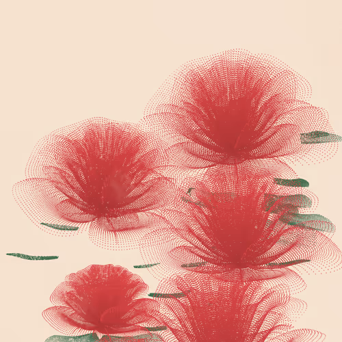 🌹🌹🌹🌹🌹🌹