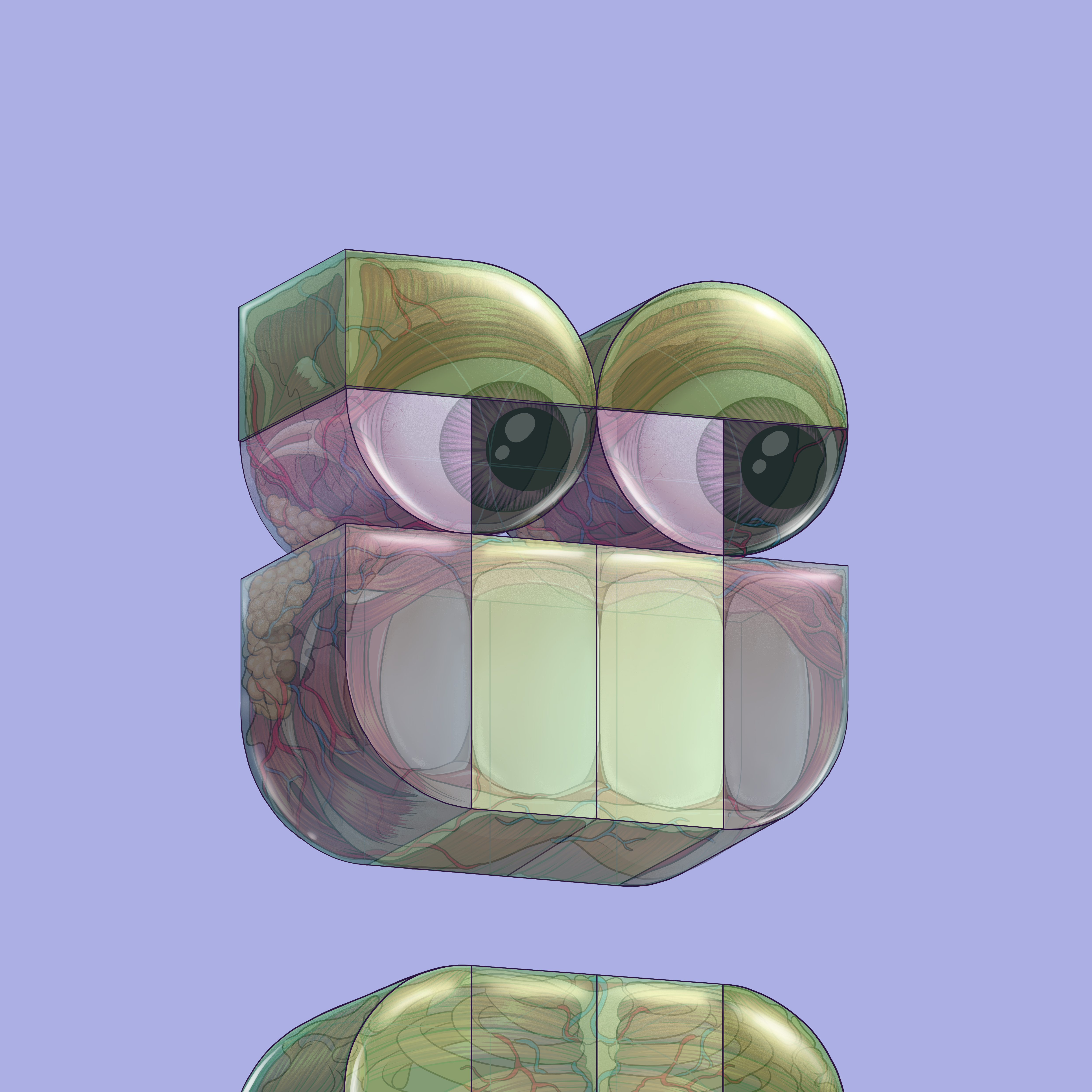 D:\opepen\Anatomy-2.jpg