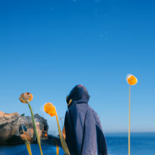 anywhere but here