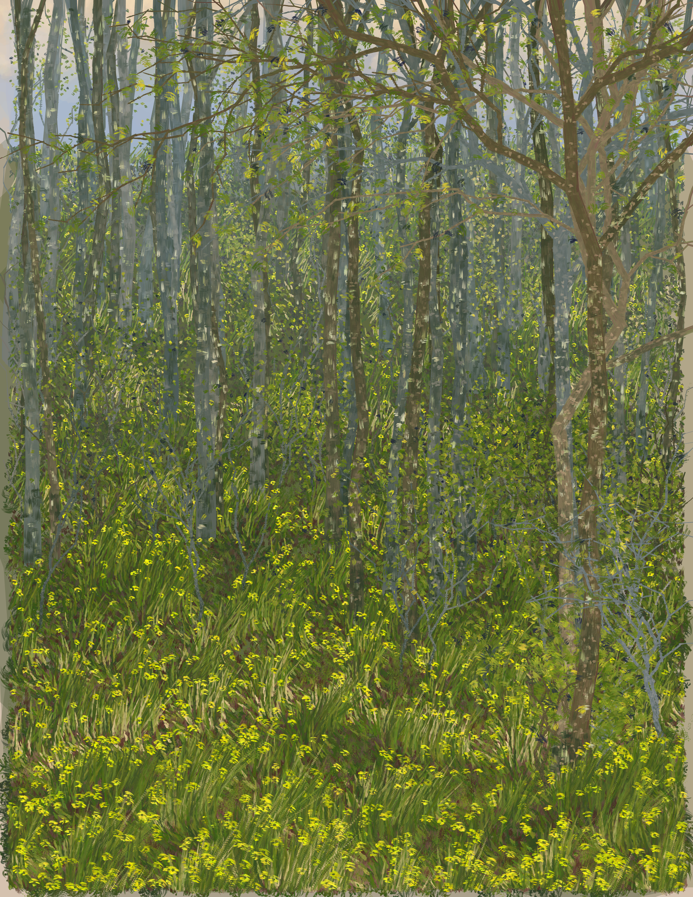 Buckeye Cove in Early Summer