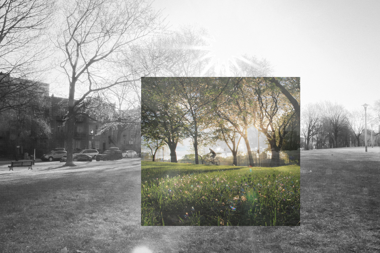 AnotherLife #3
