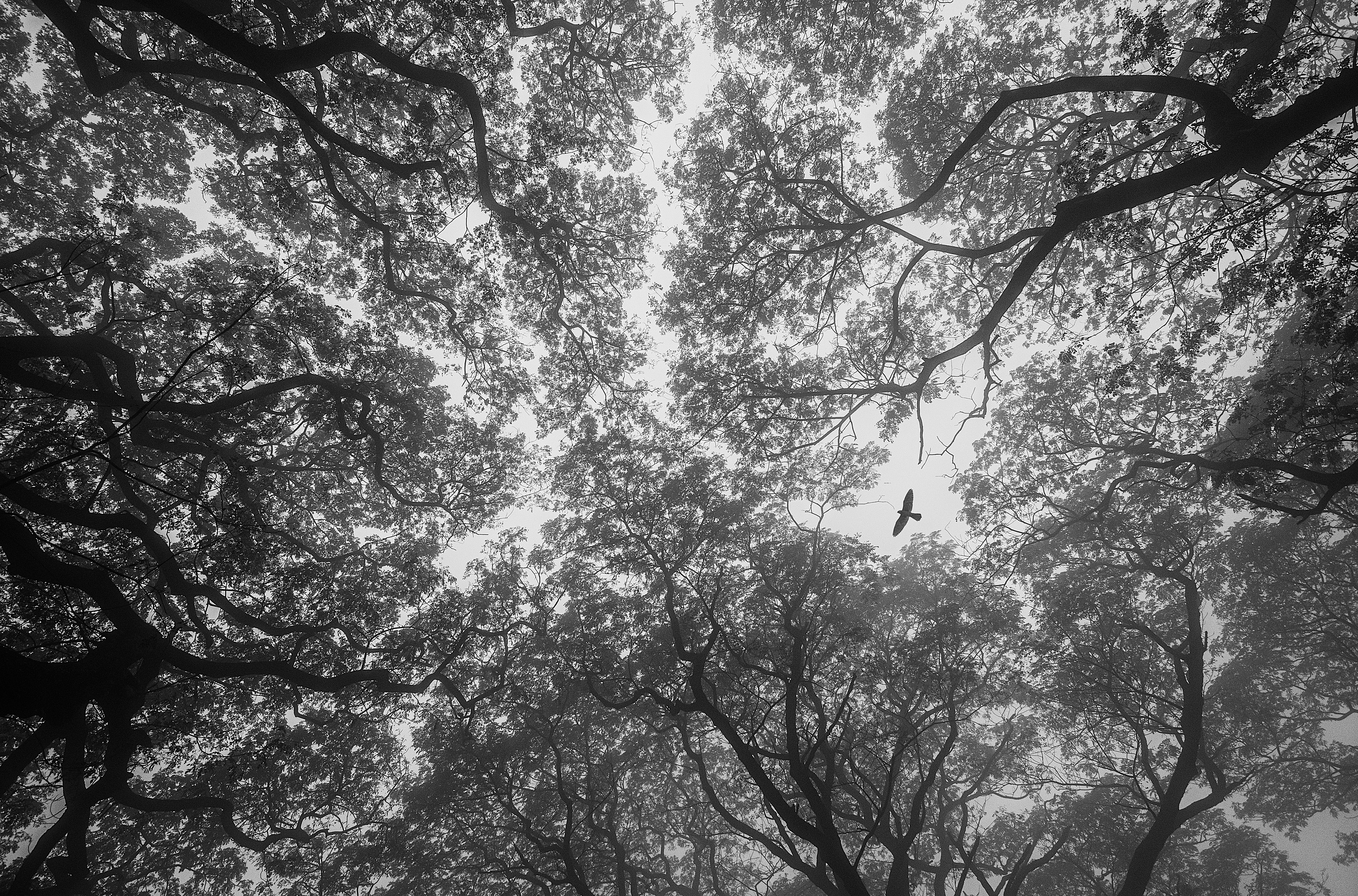 Reach for the Sky