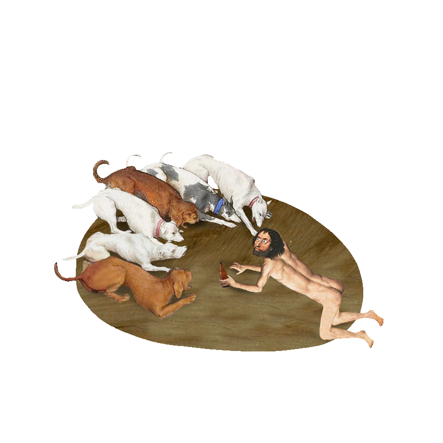 Dog Fight