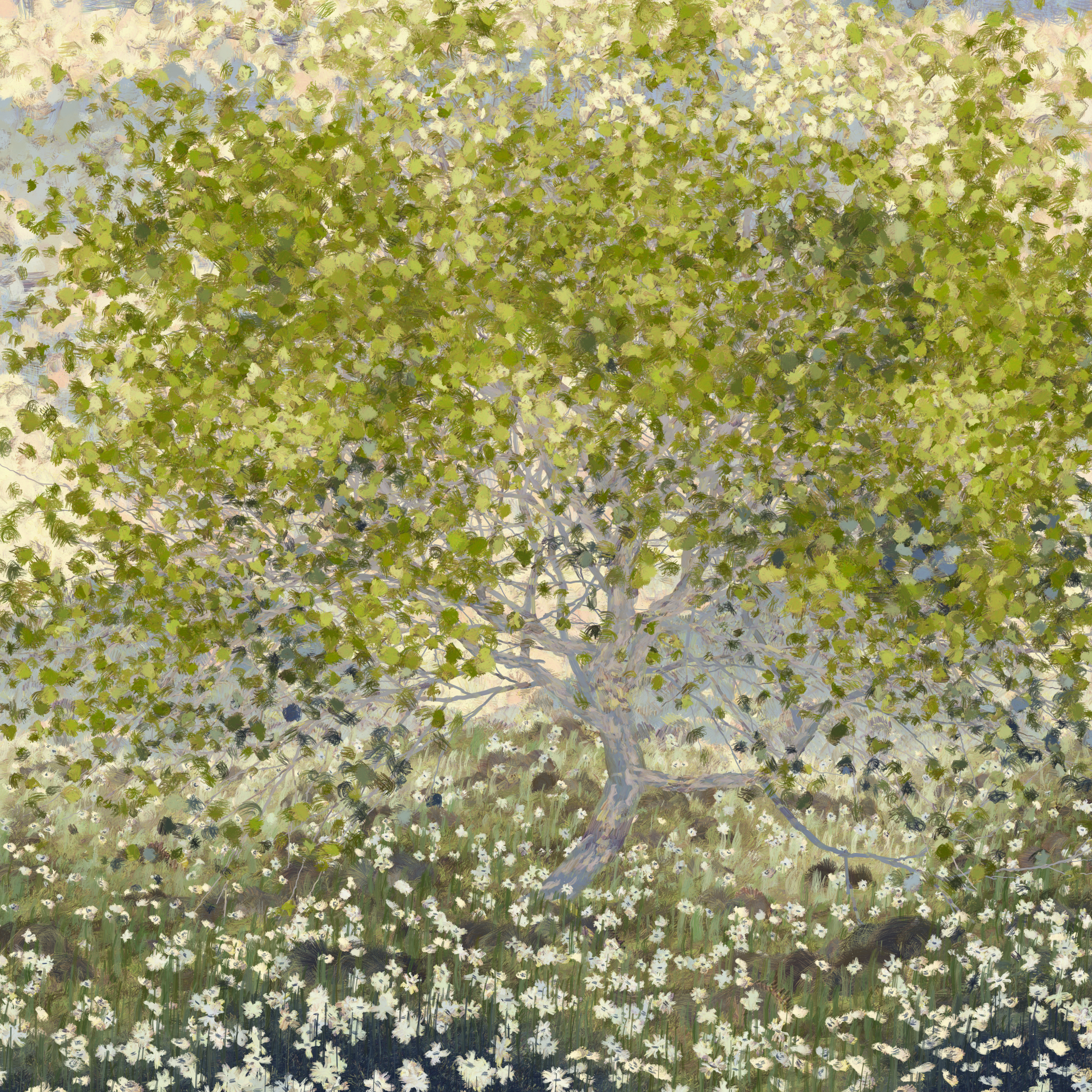 Tree in early summer