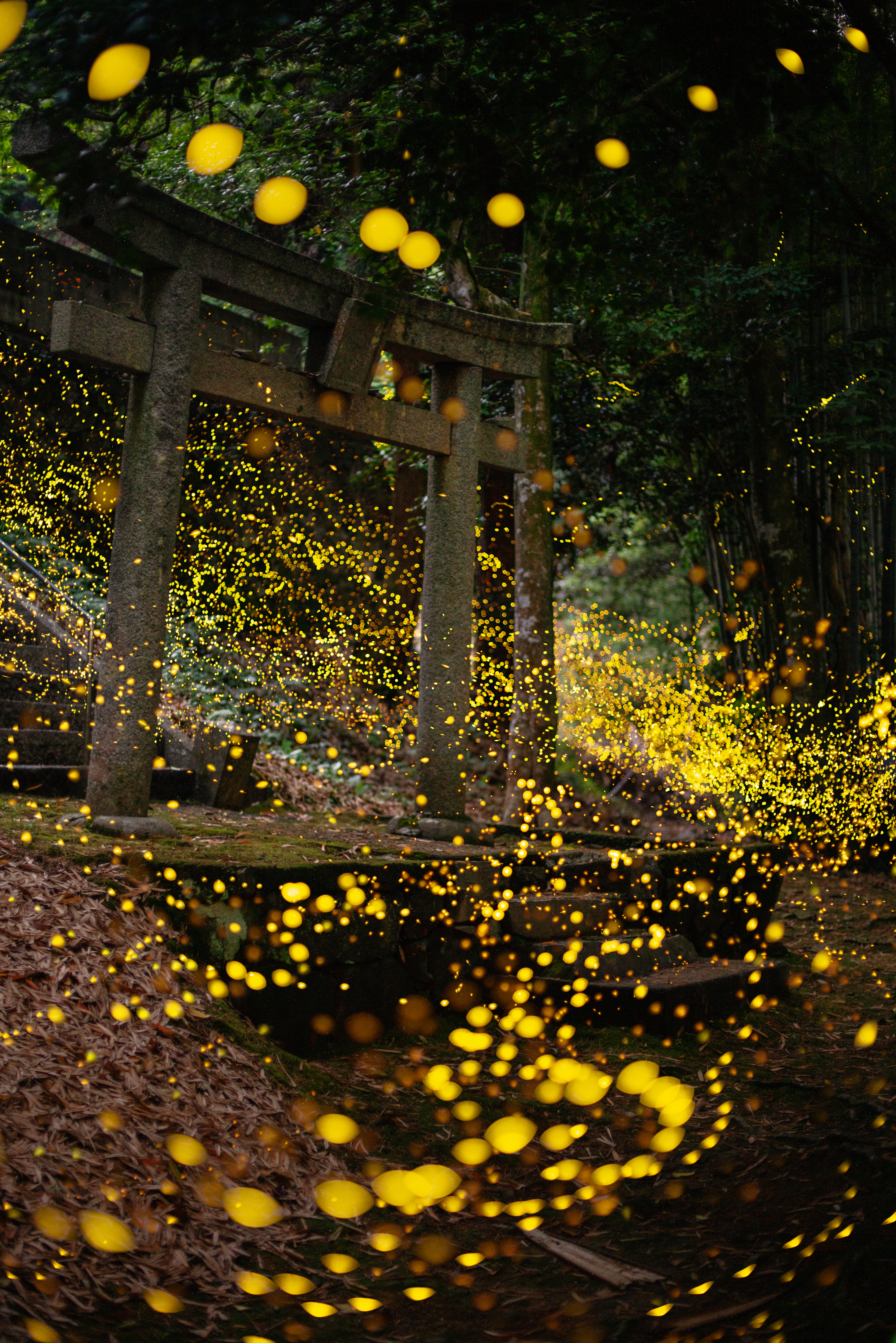 Gold N' Shrine