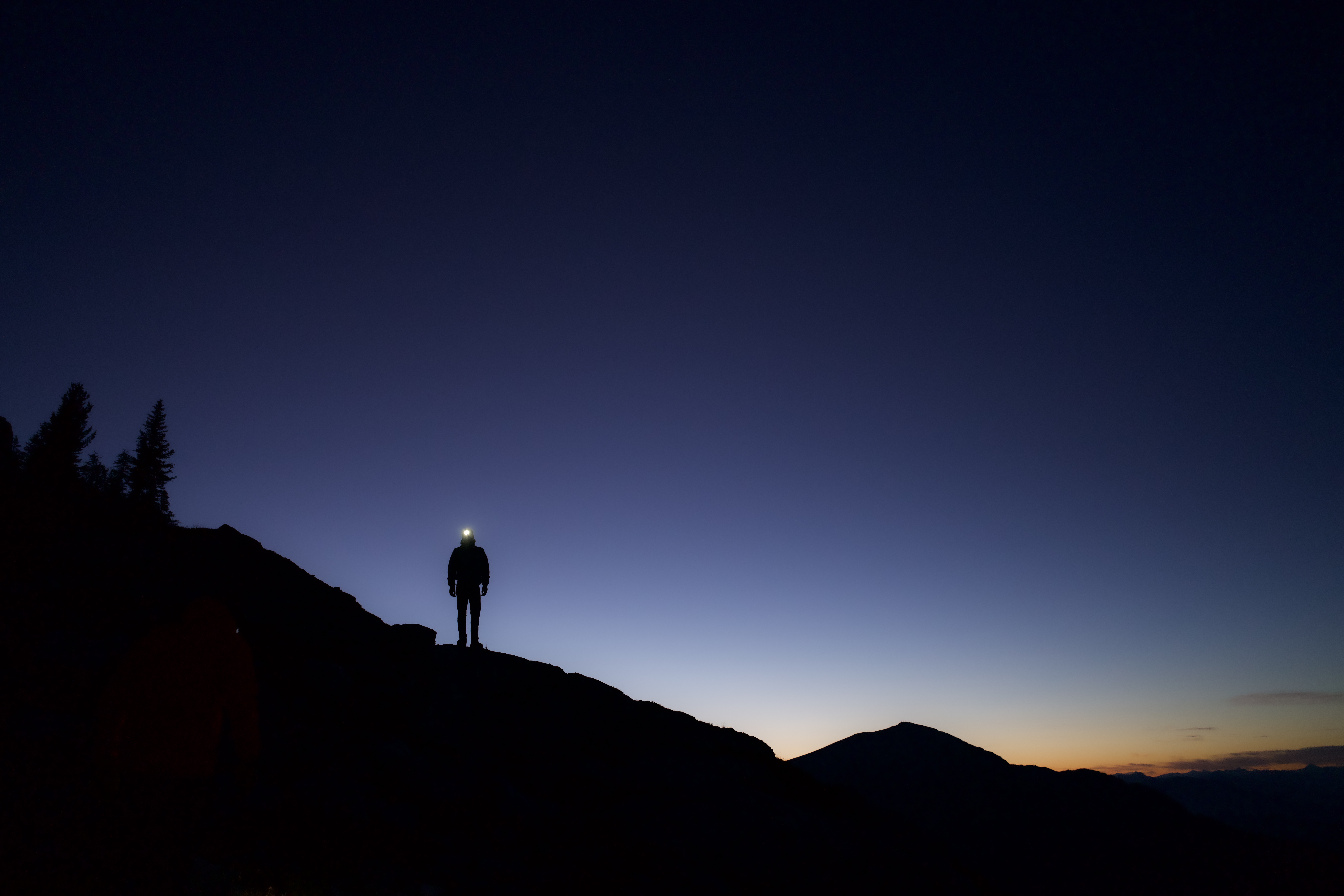 out of the dark