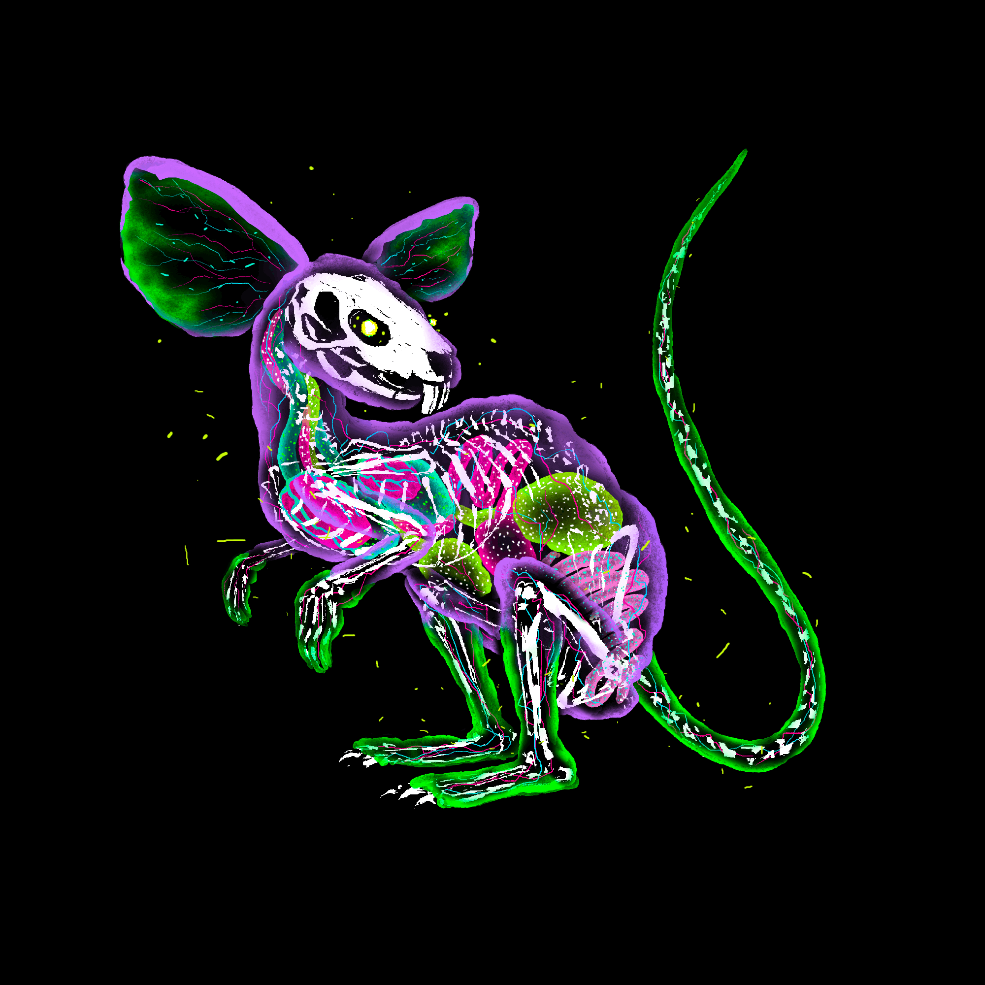 Toxicado Rat