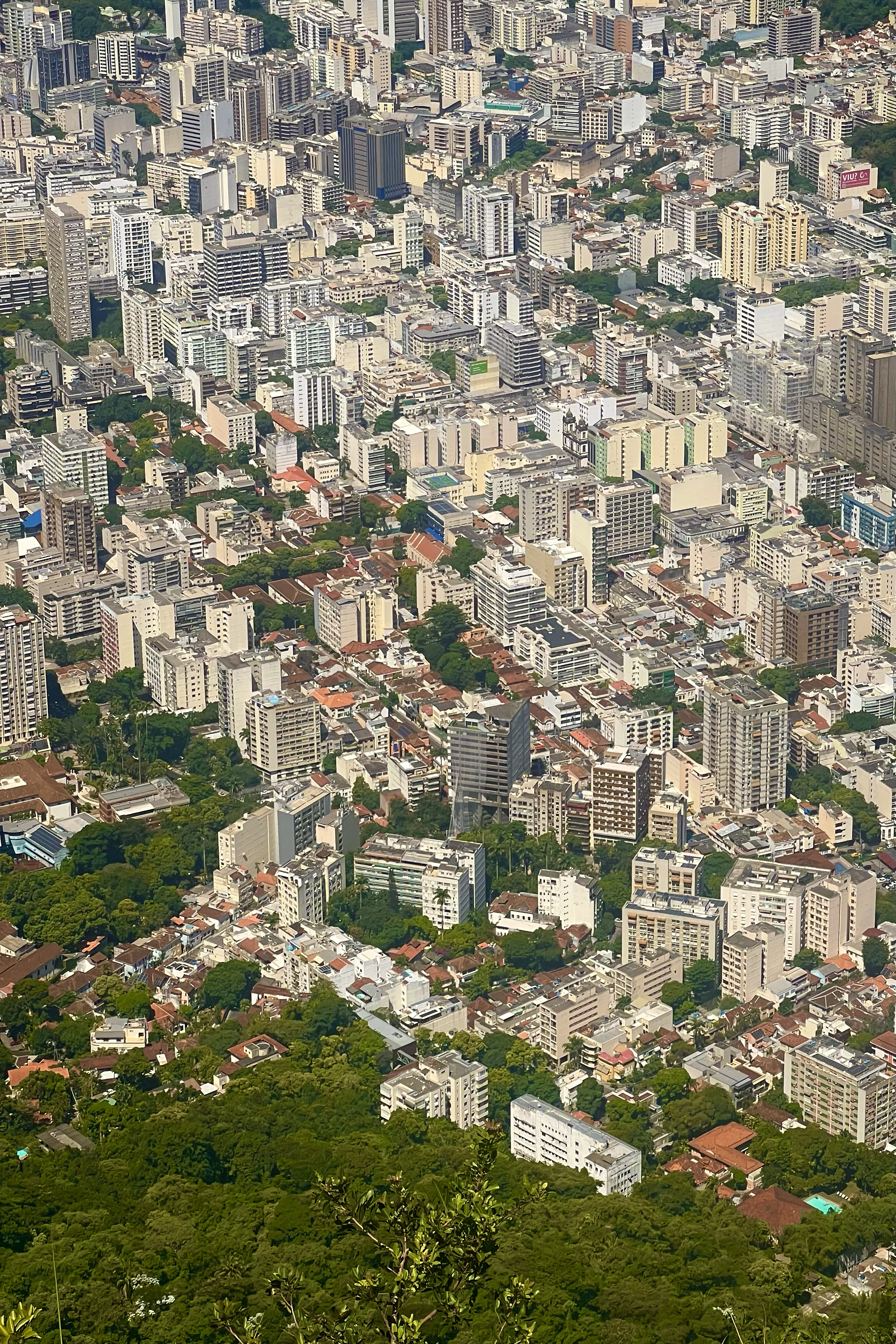 Concrete meets Jungle