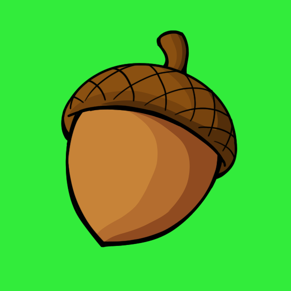 ACORN NUT