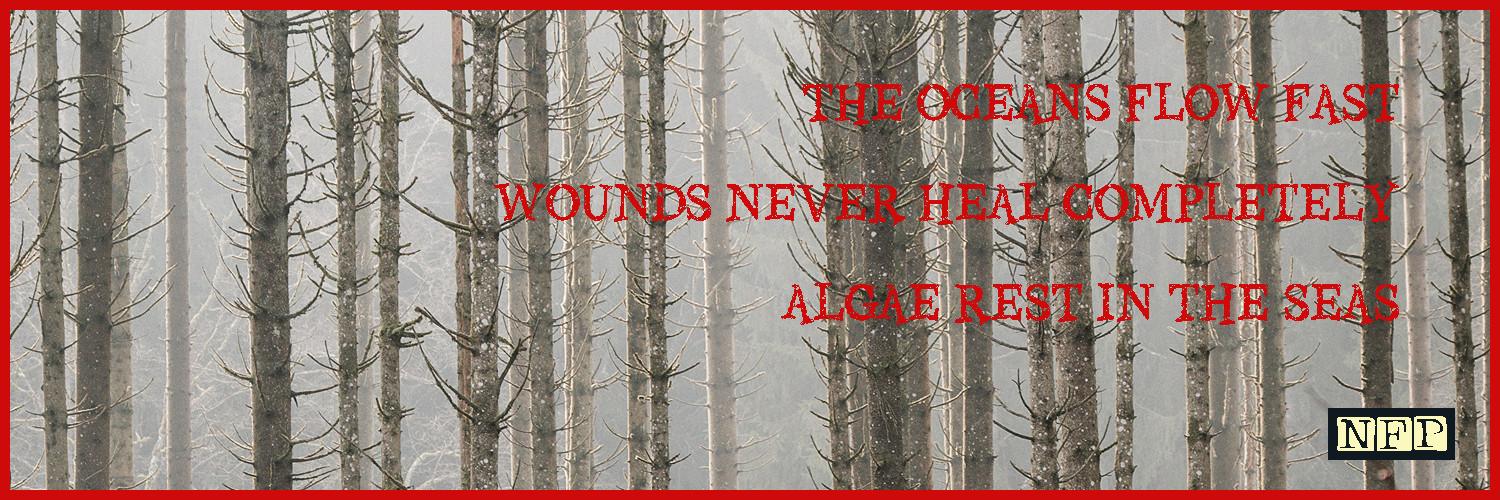 NotFungiblePoem #6348
