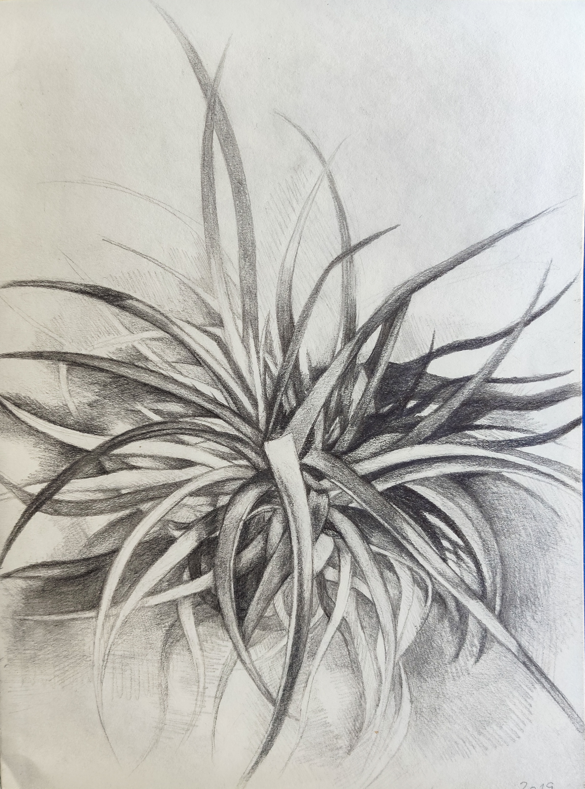 Study