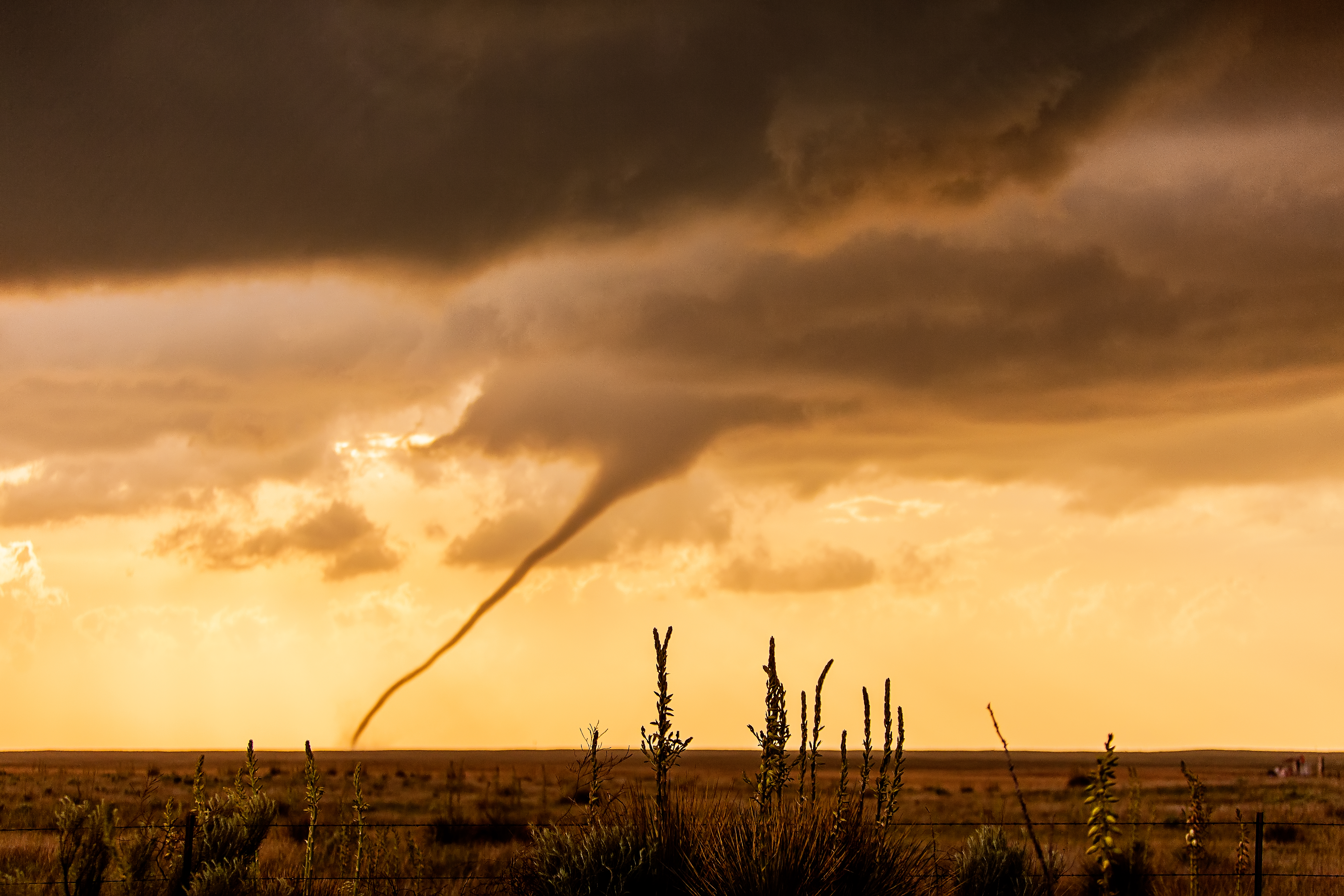 Tornado Rope Out #91