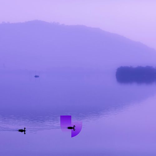 Shielded Serenity #370