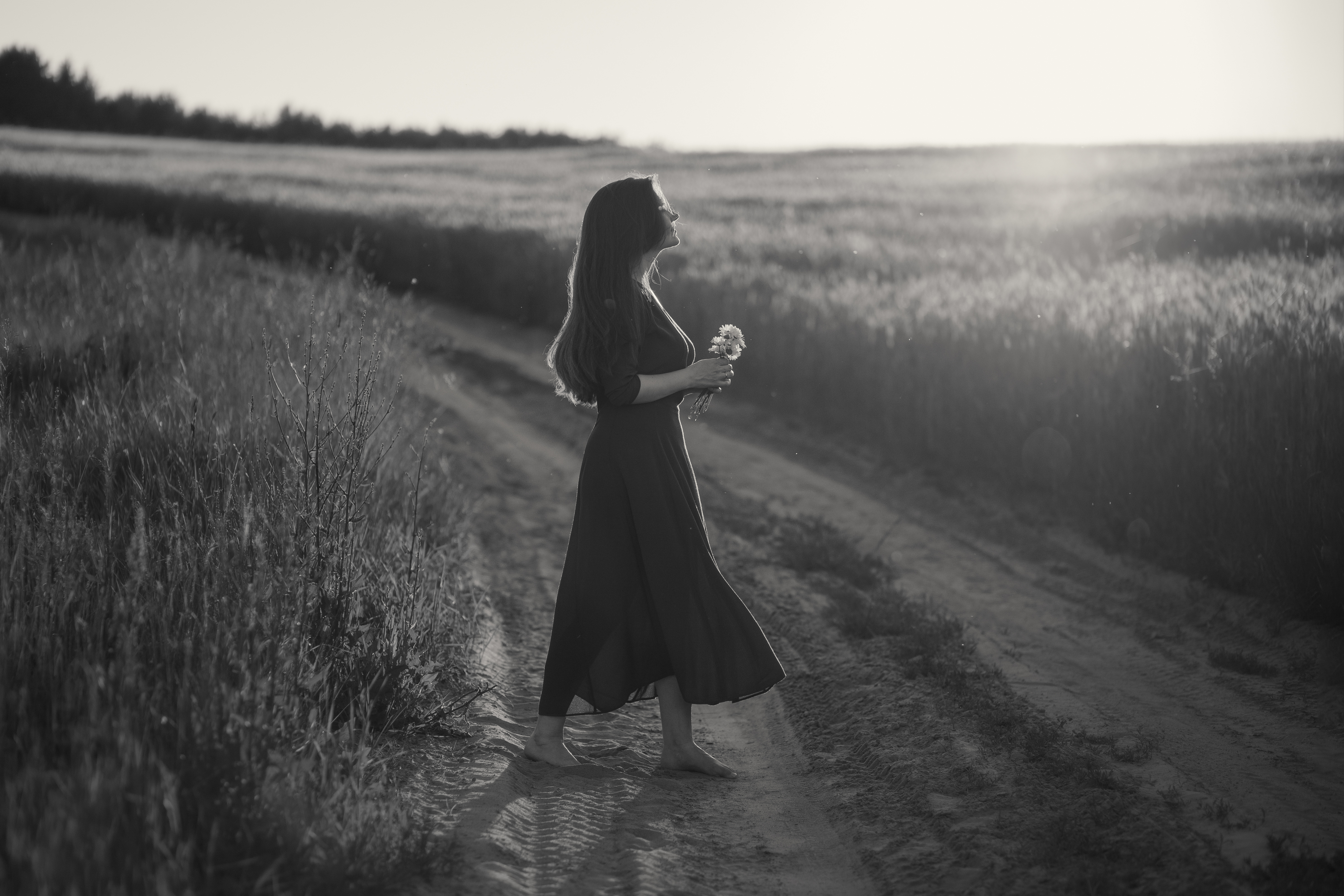 Sunset Dreams