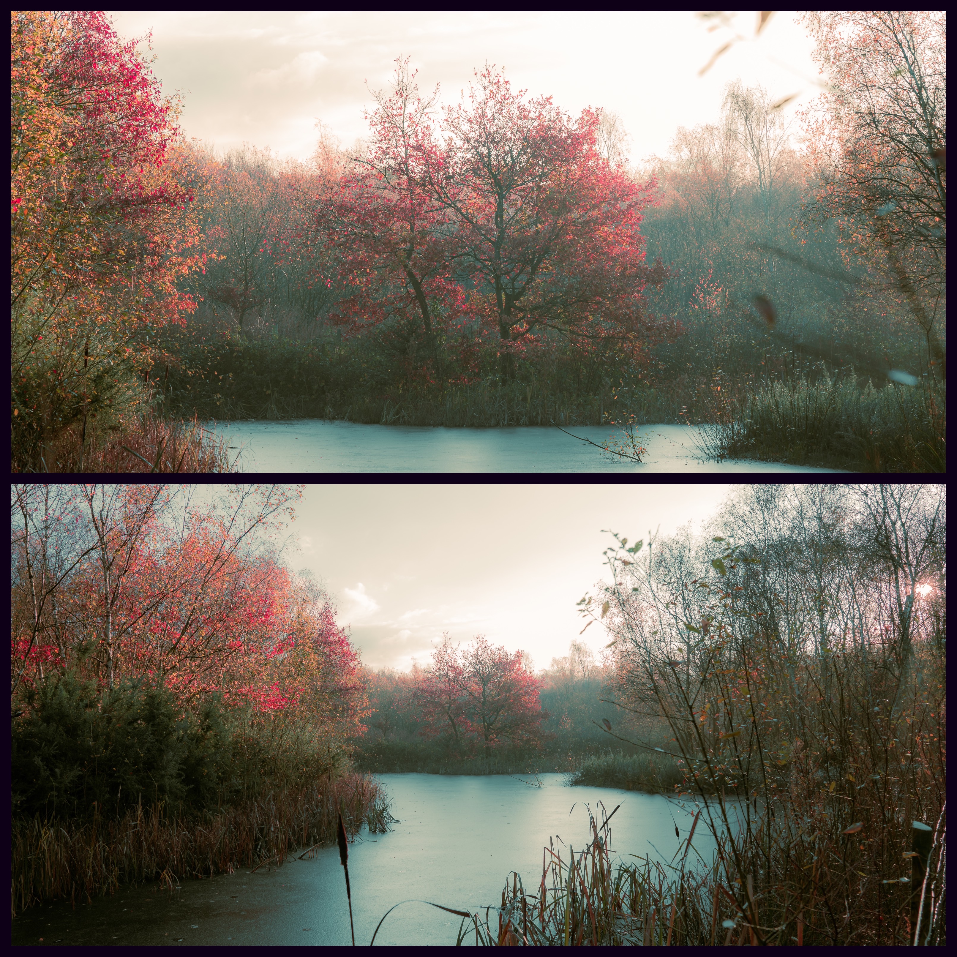 Autumn into winter