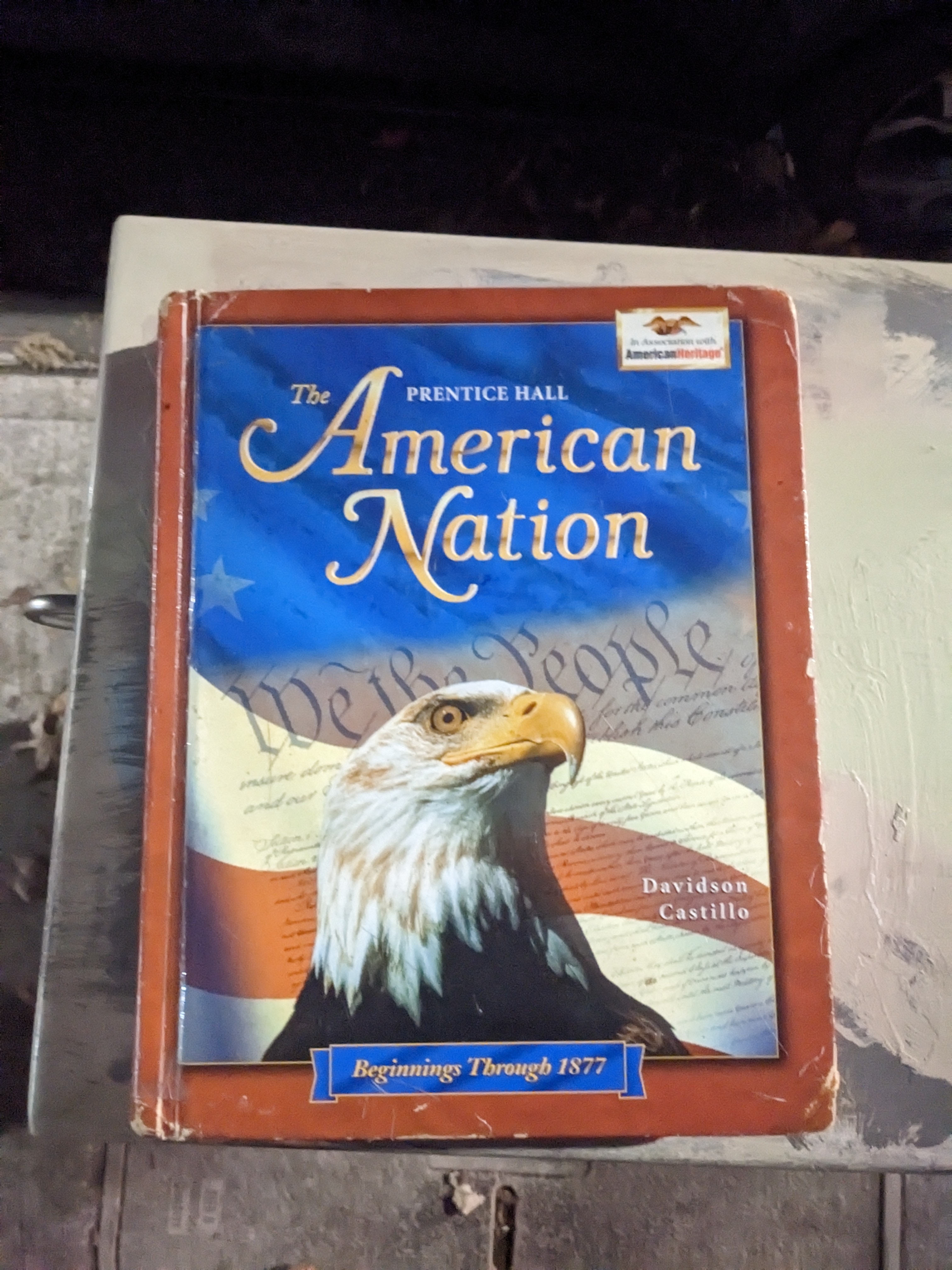 The American Nation