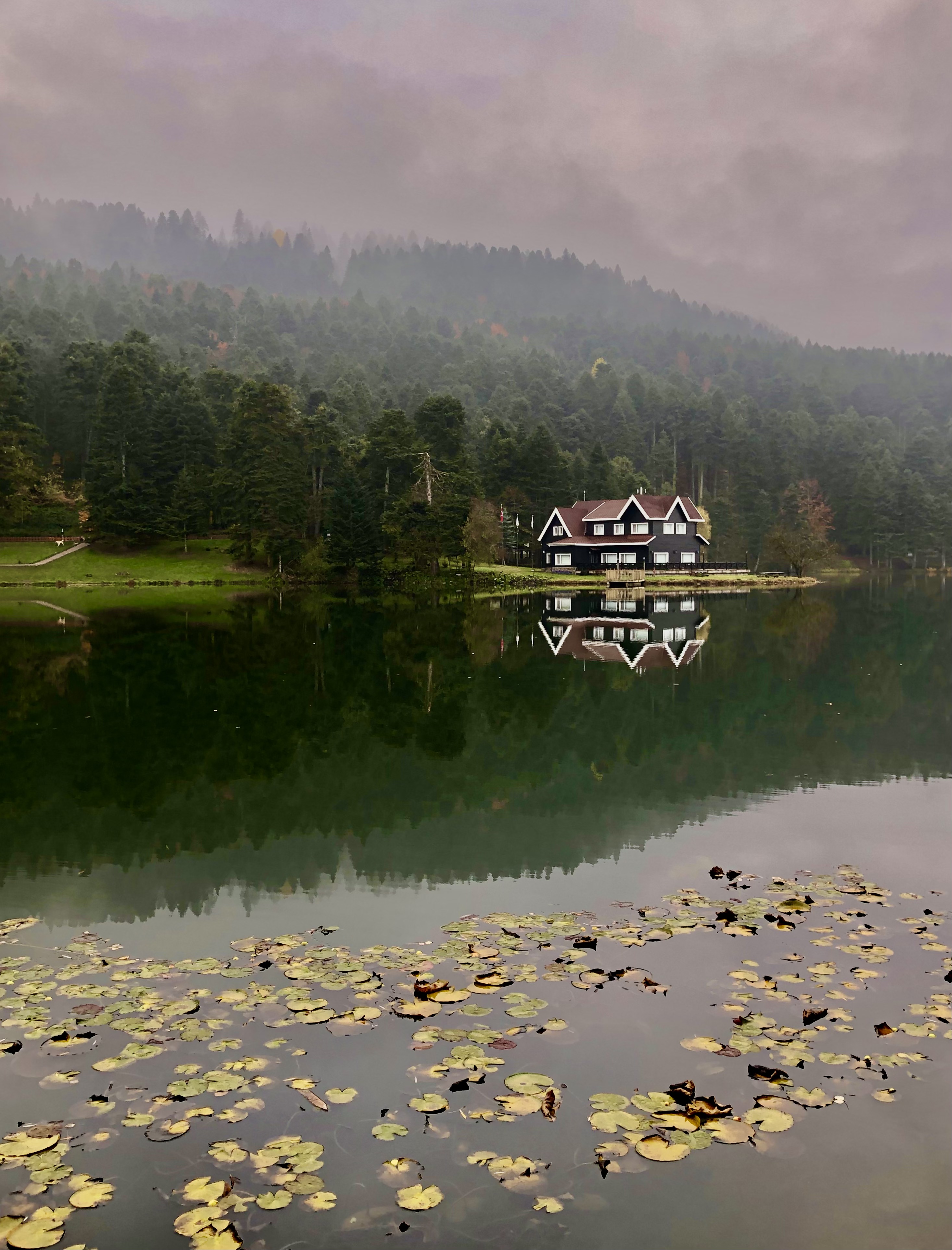 Reflection#2 #54
