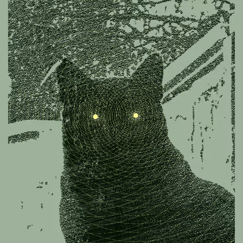 Posca the cat