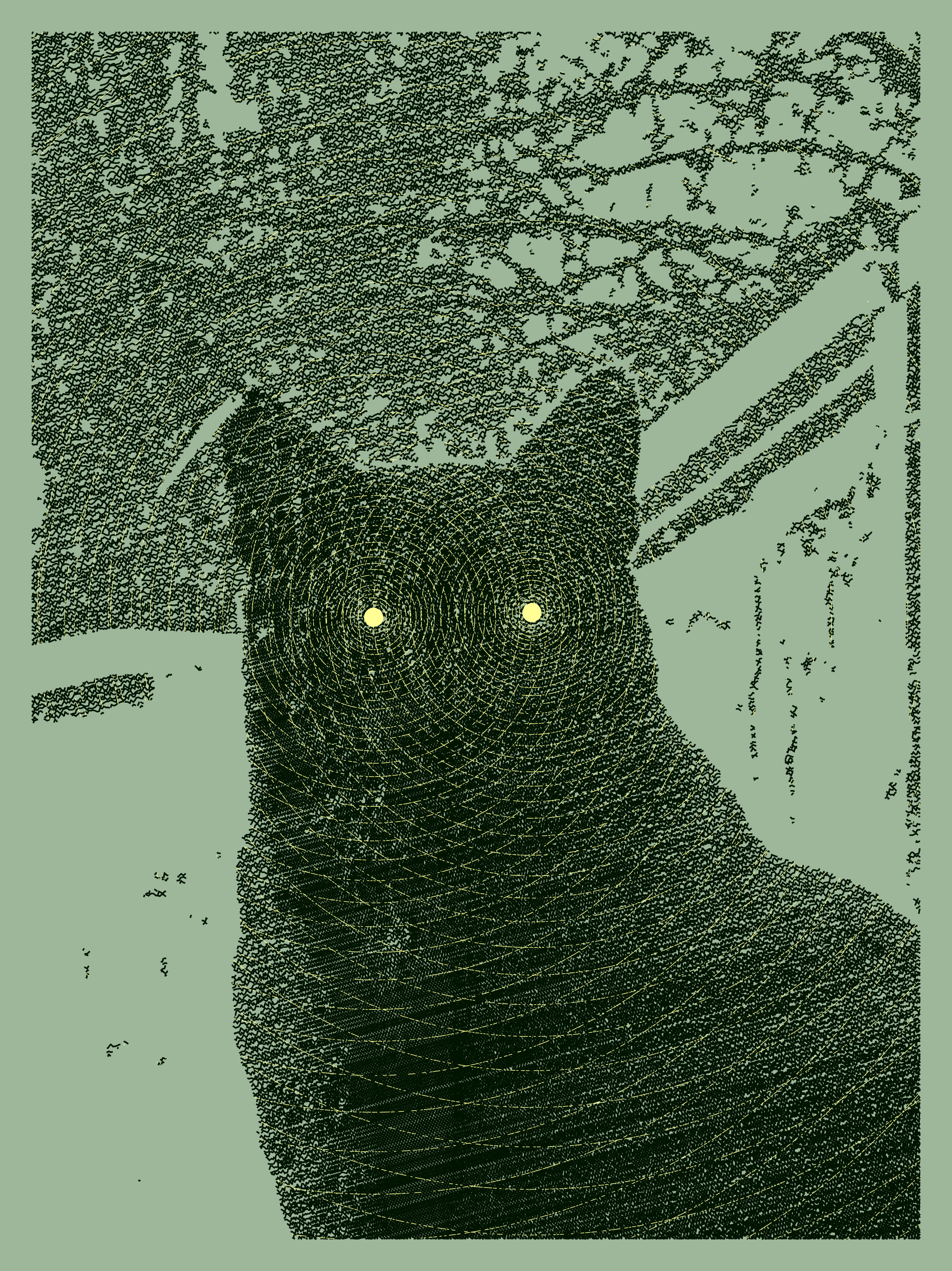 Posca the cat