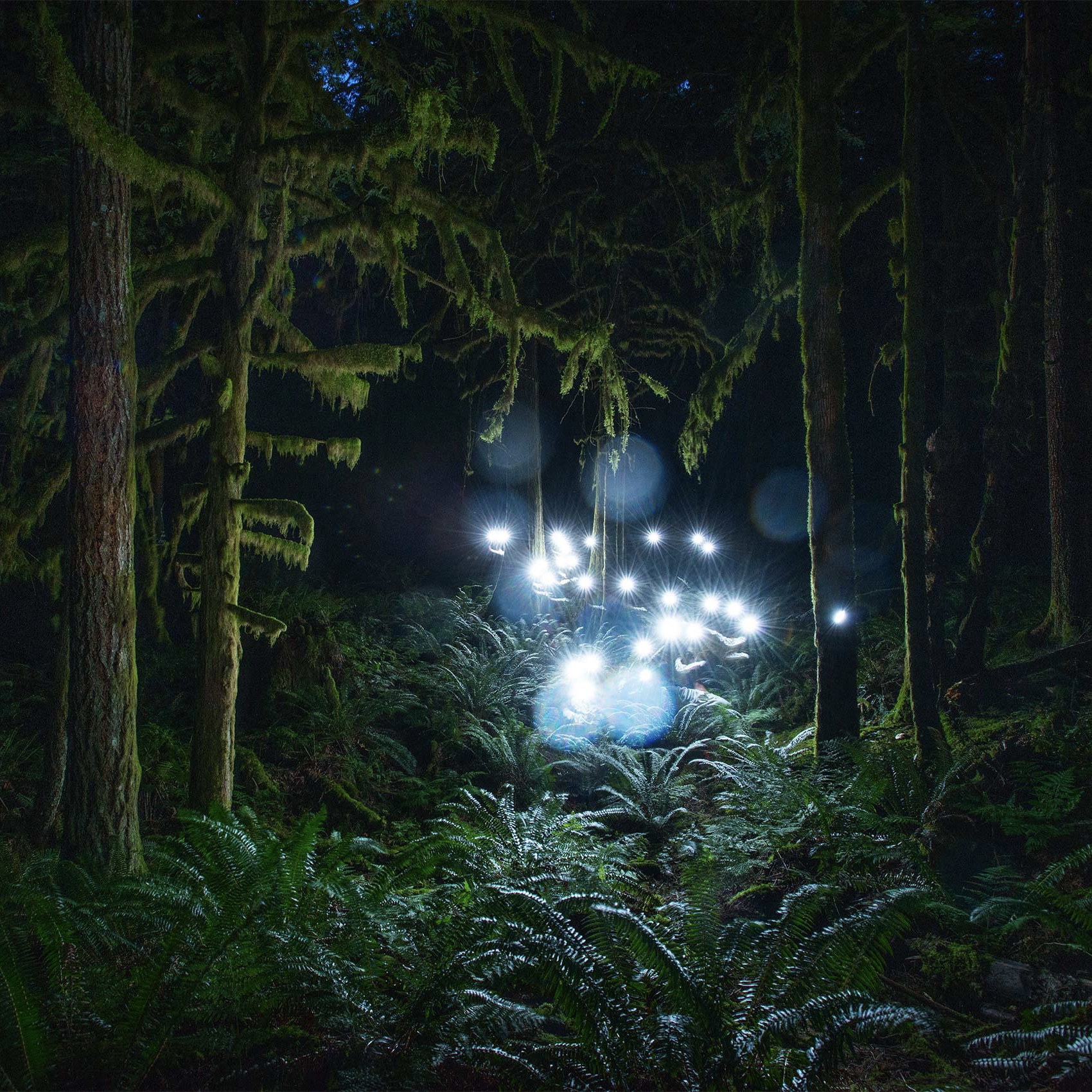 The Gathering.