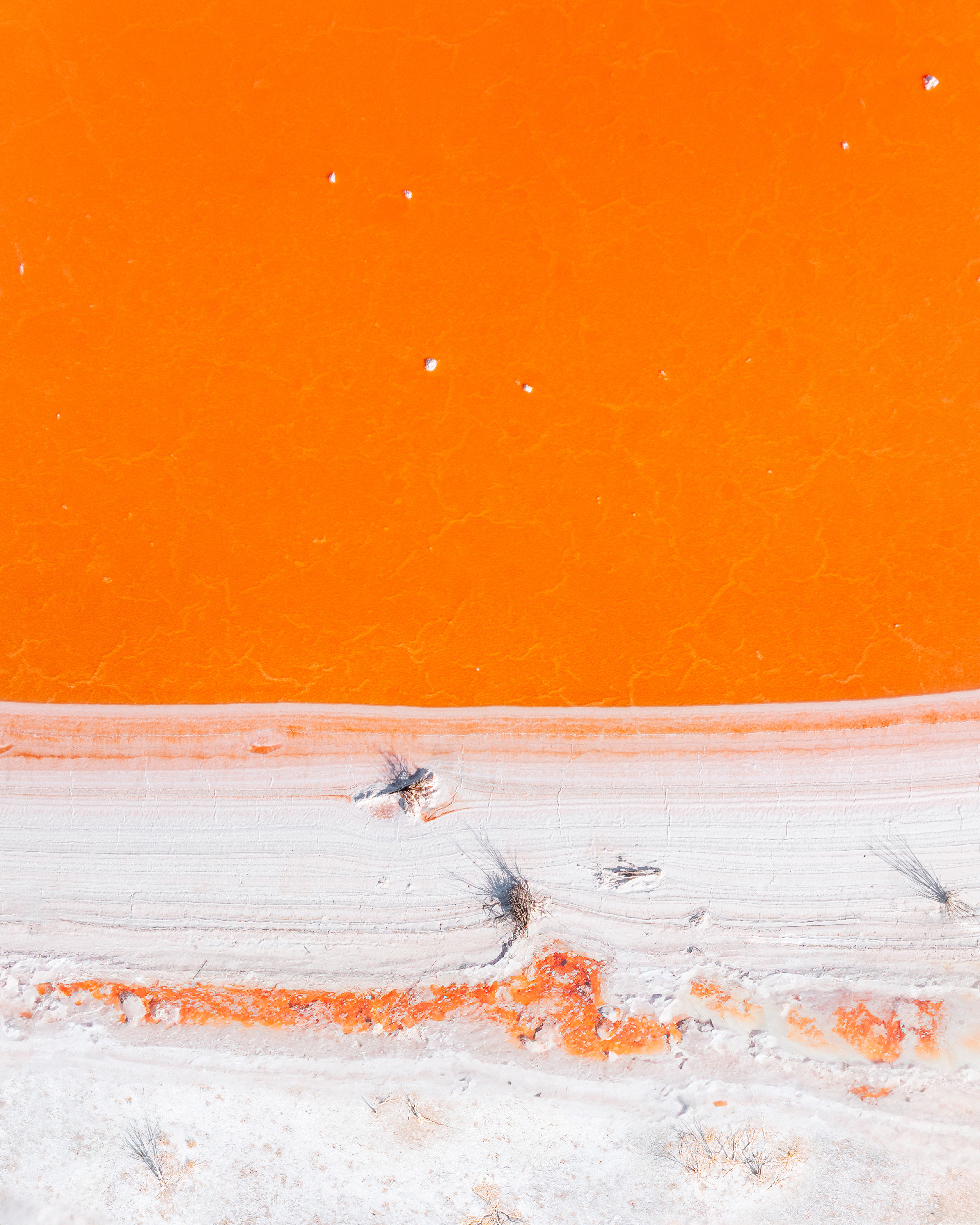Citrus Sea #127