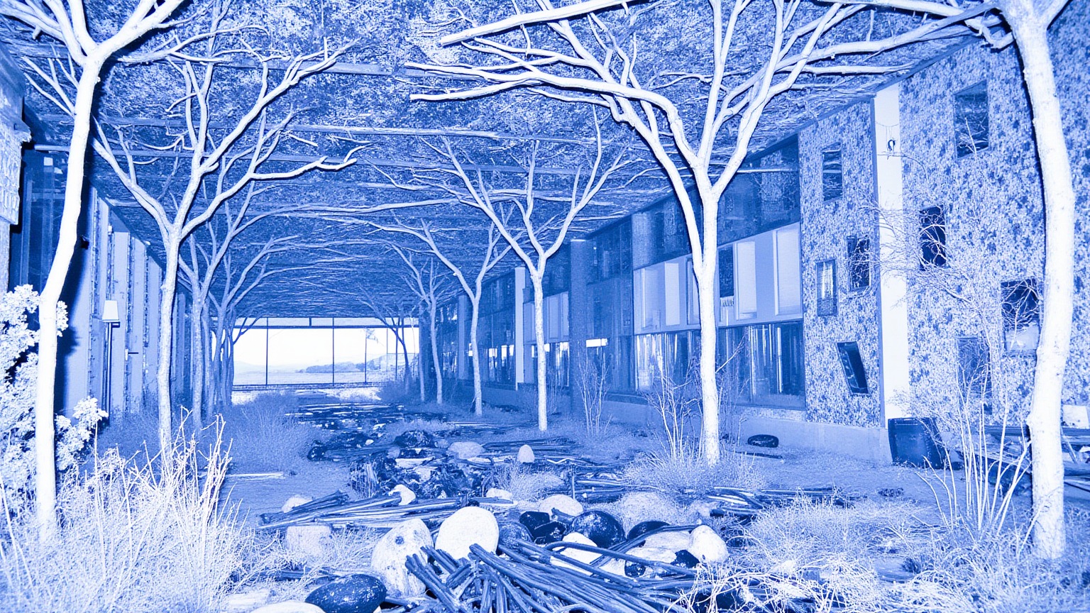 outside the nature