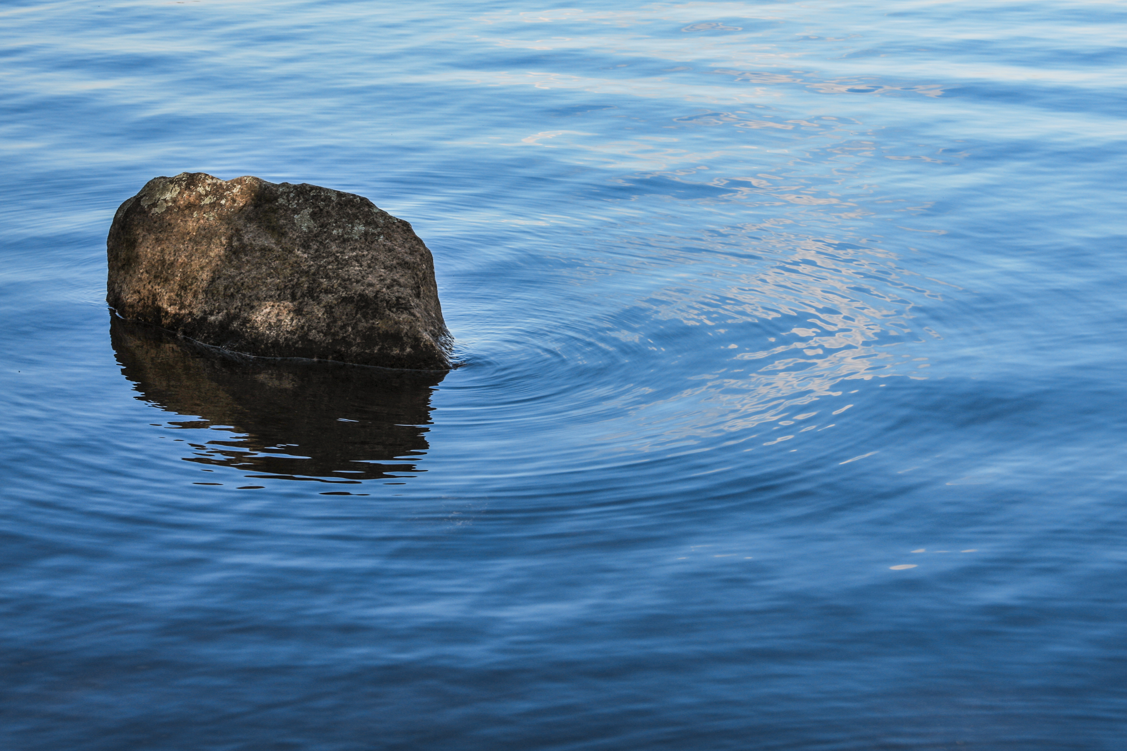 Equanimity