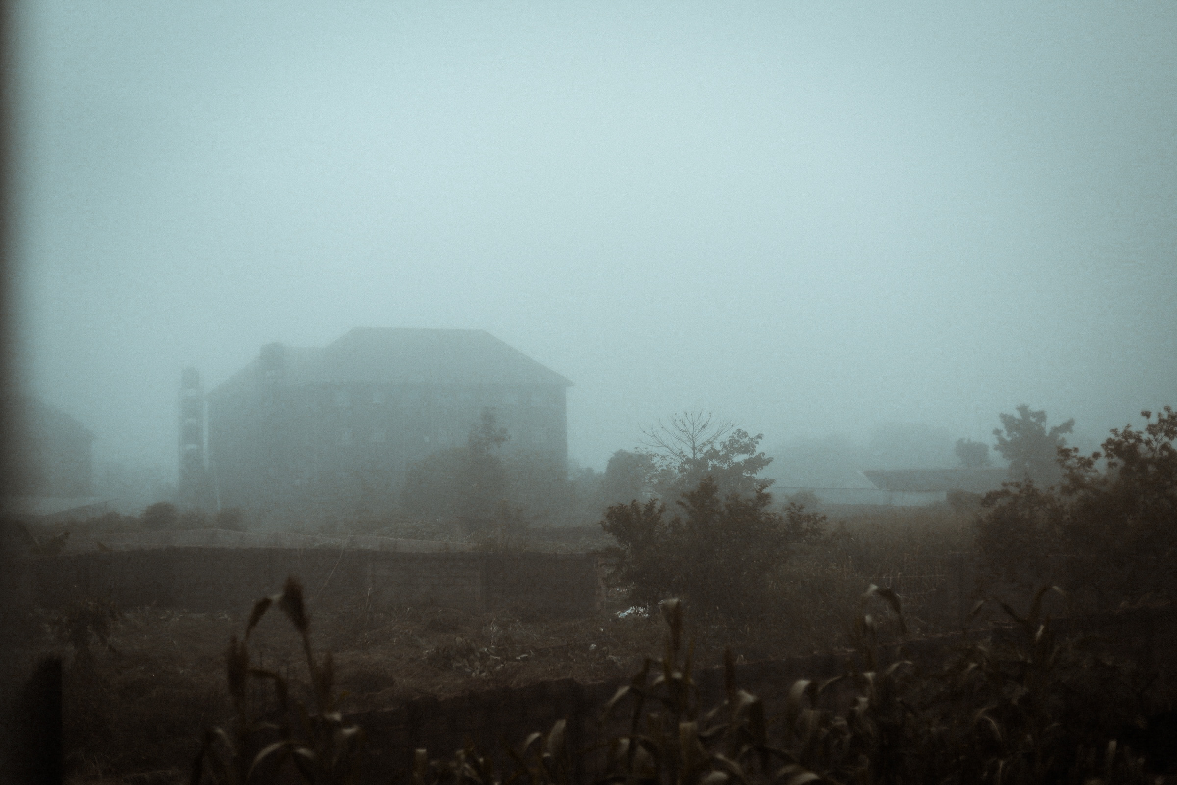 cozy morning #21