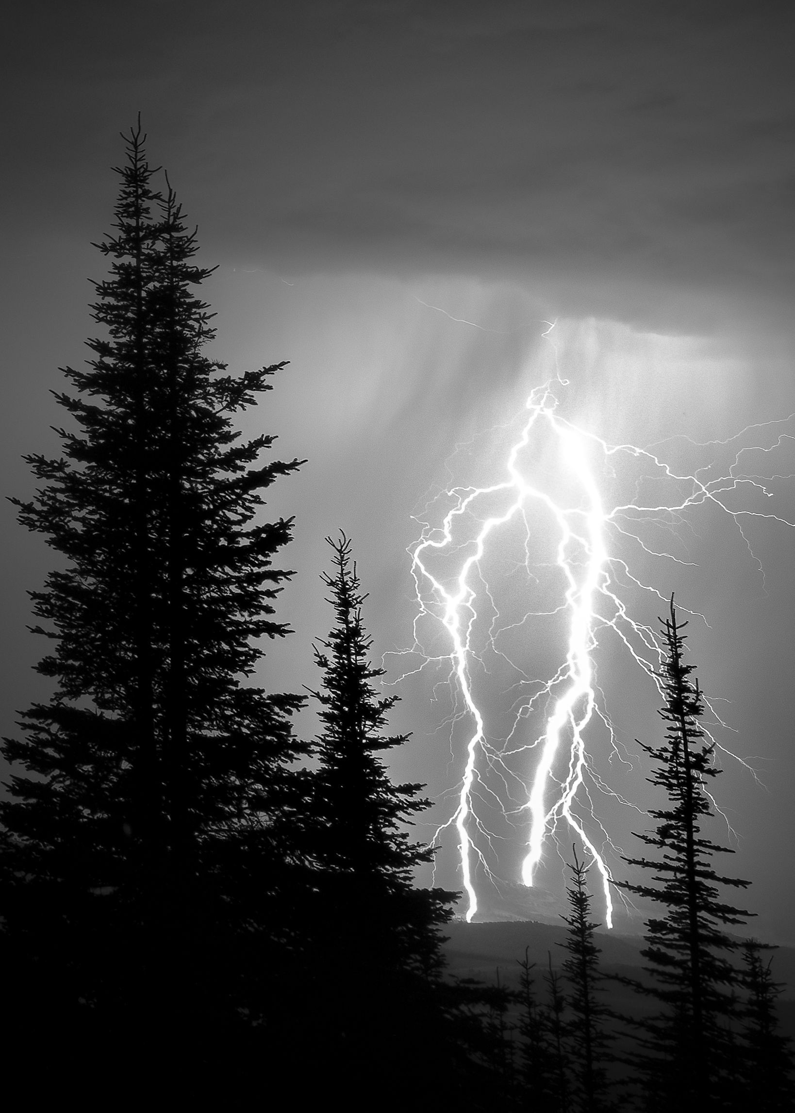Natures Fury
