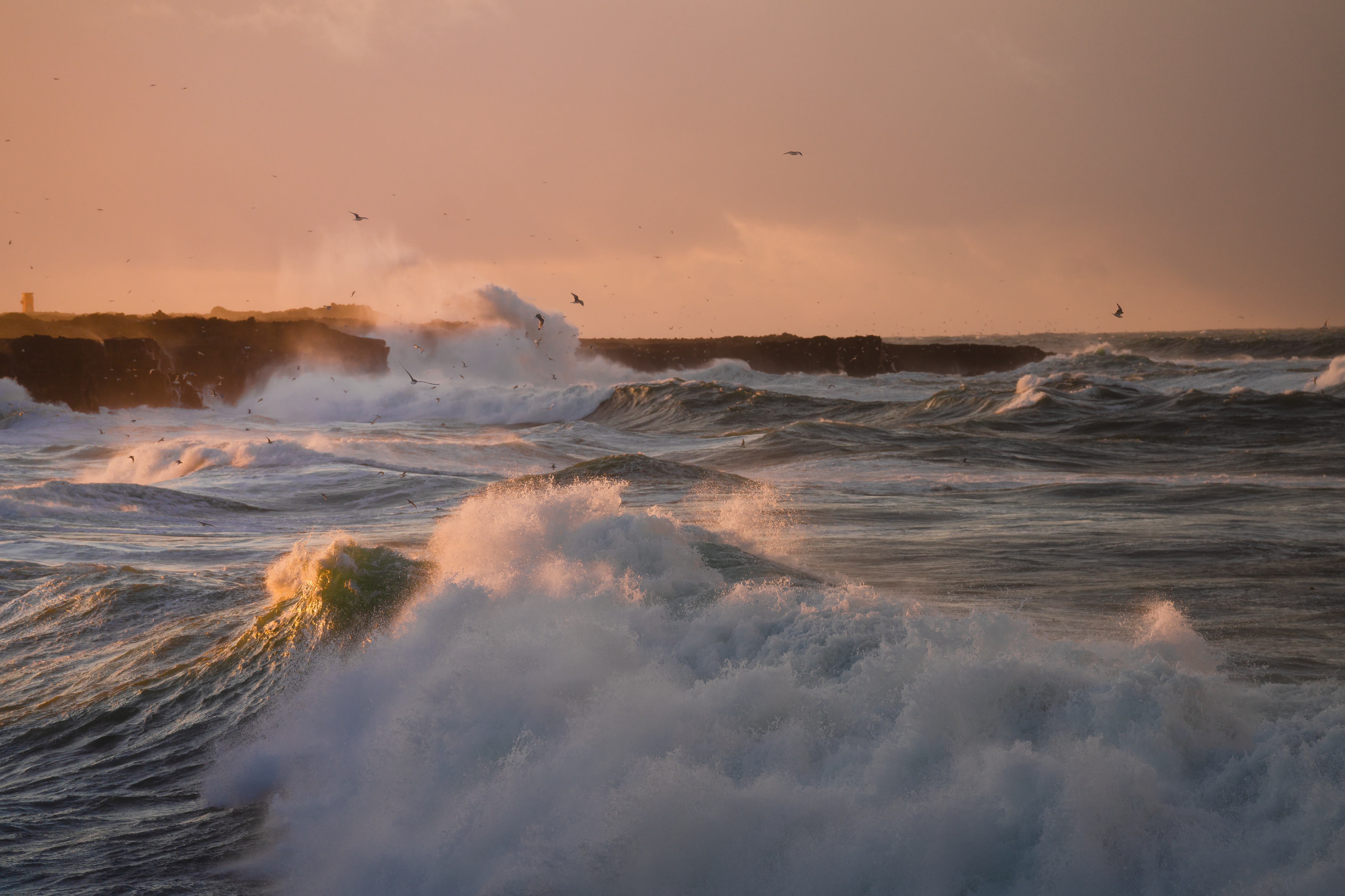 ARCTIC SUNRISE 003 //