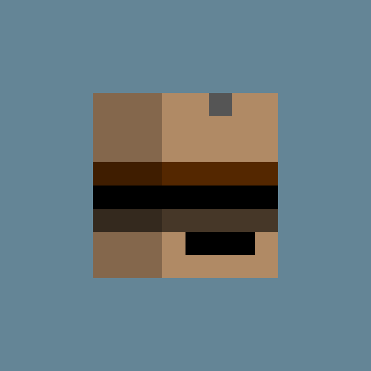 PunkBlock #4205