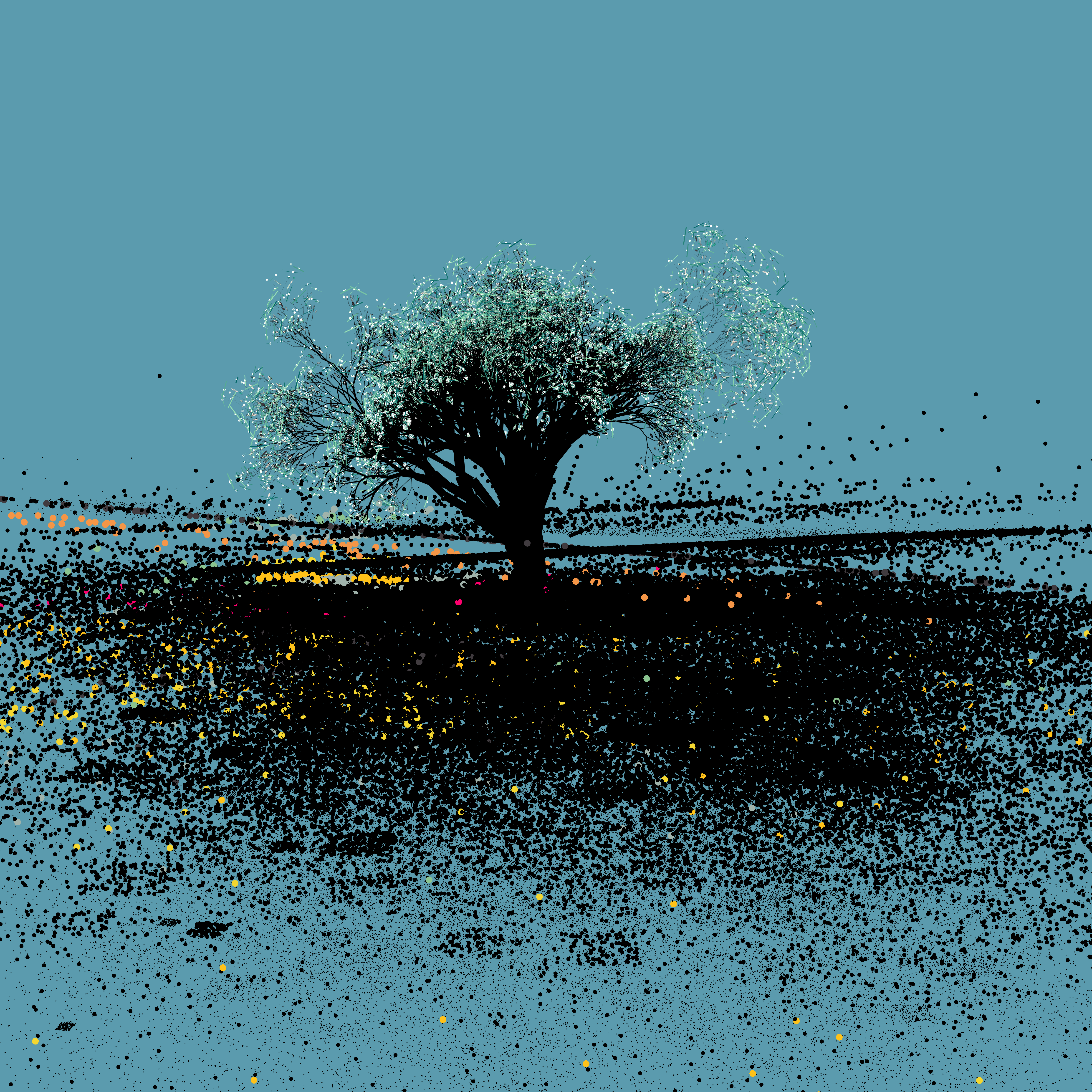 Un arbre solitaire au loin #B2 