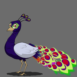 peafowl !