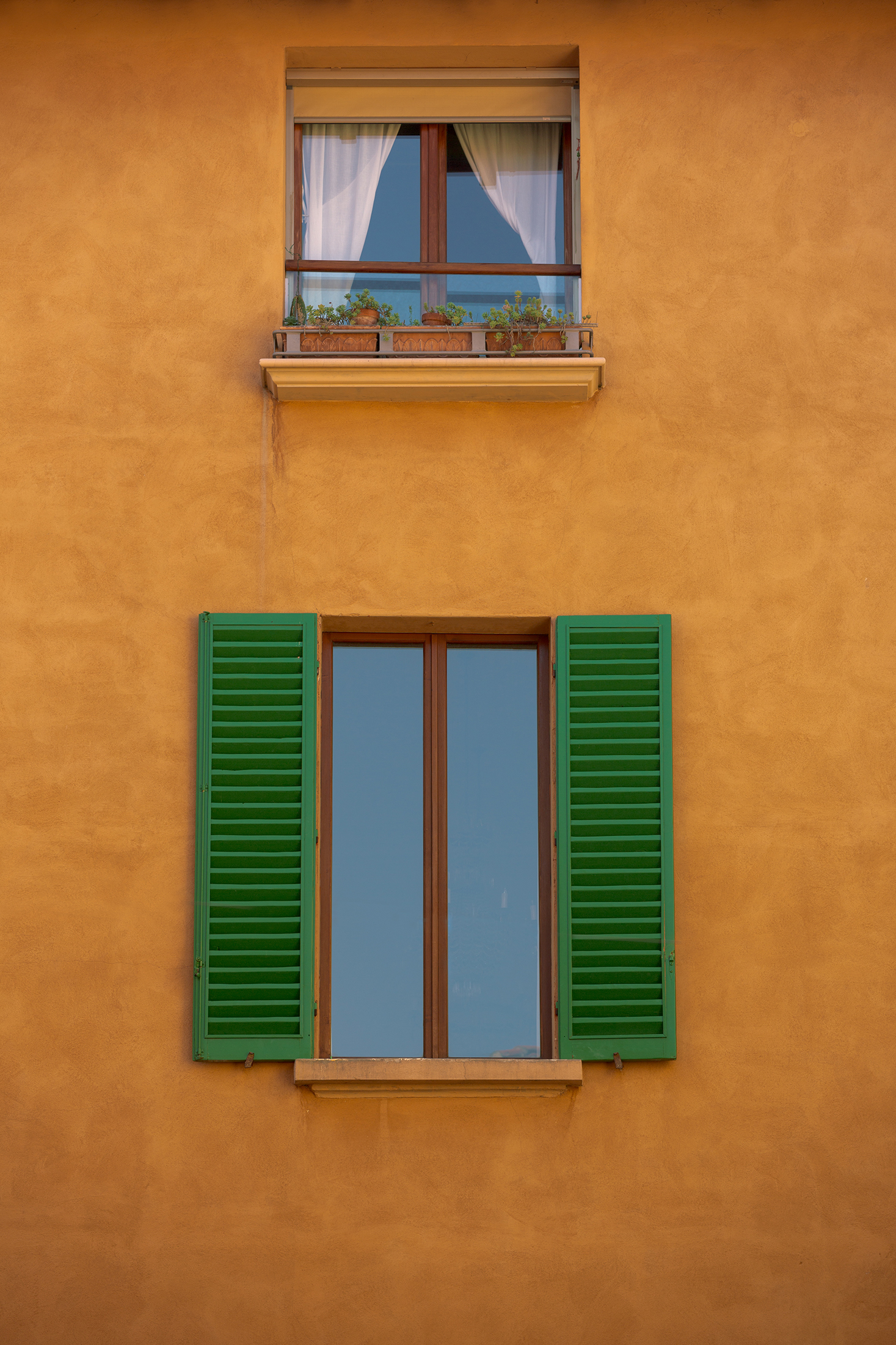Windows #1