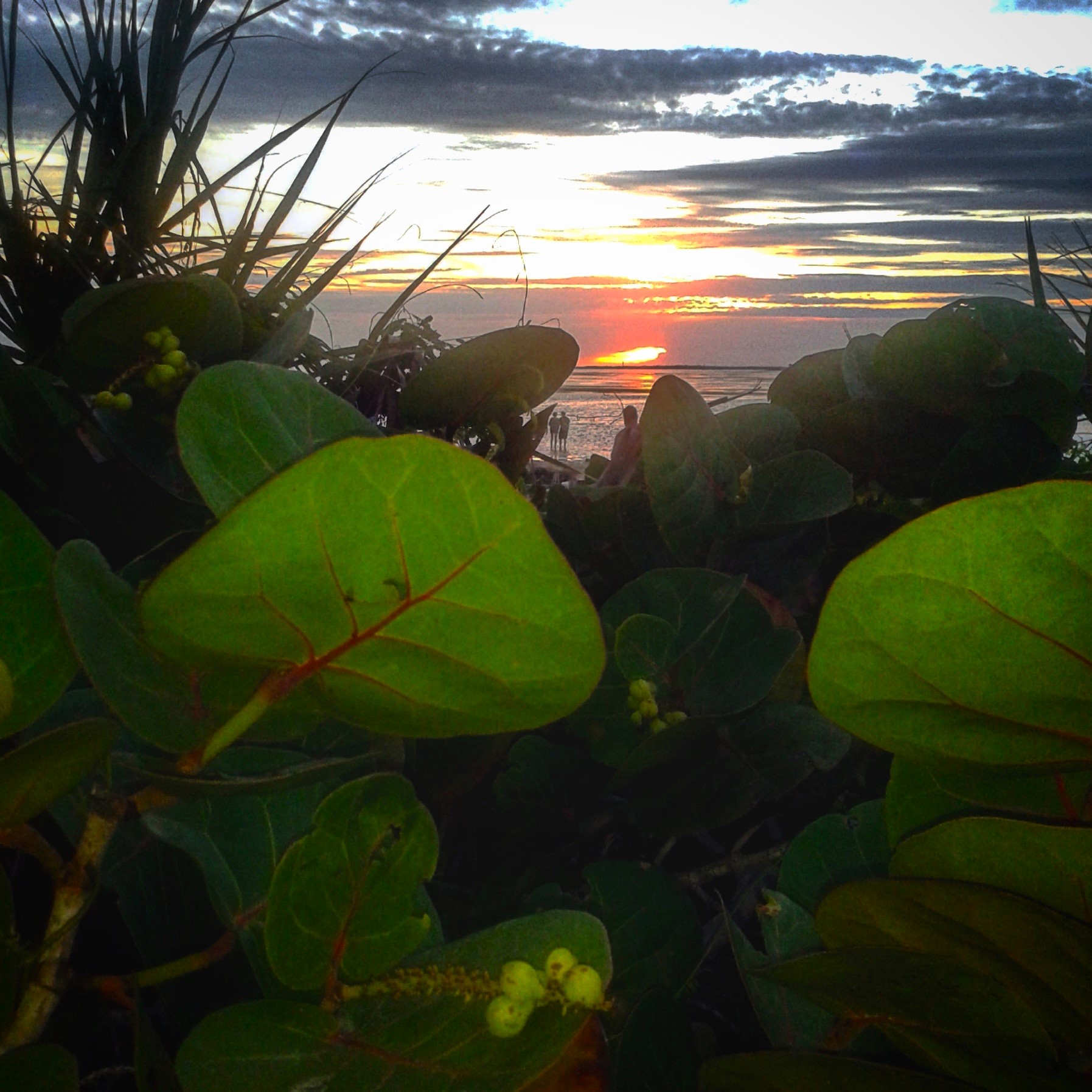 Sun (WILL) Set