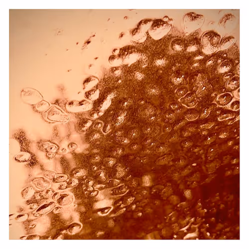 Frozen Ripples