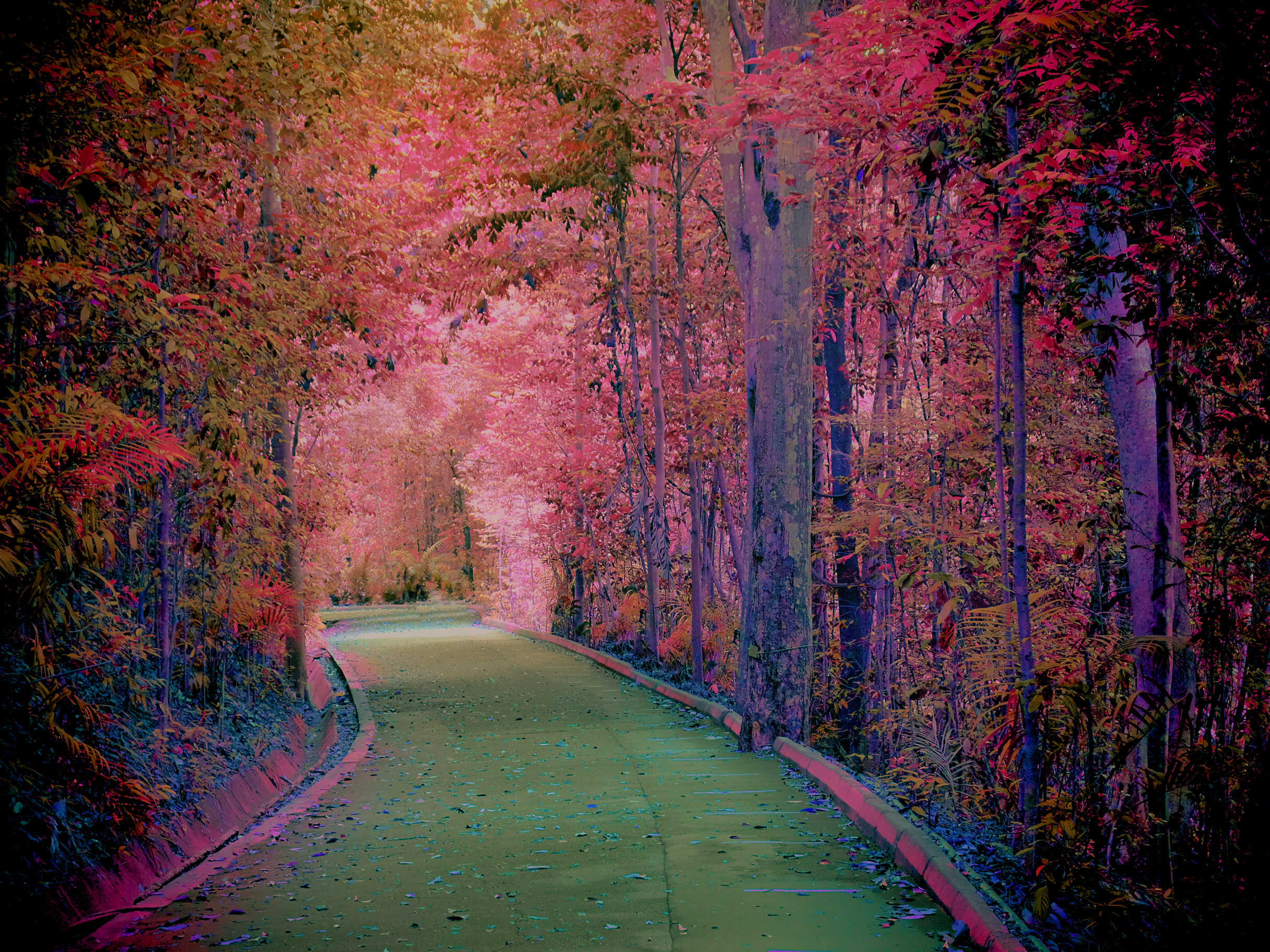 Zauber Weg