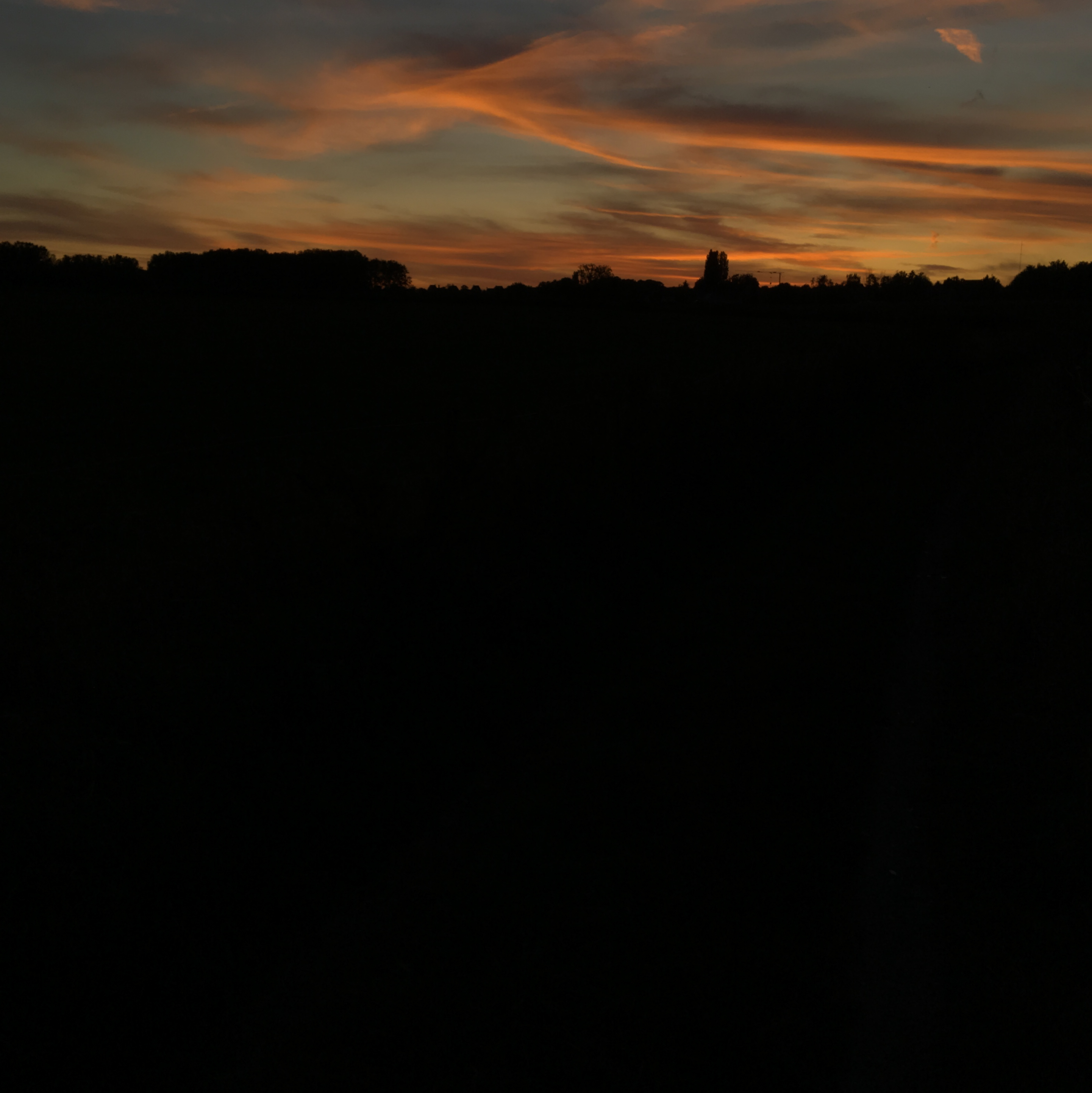 Sleepwalking 25