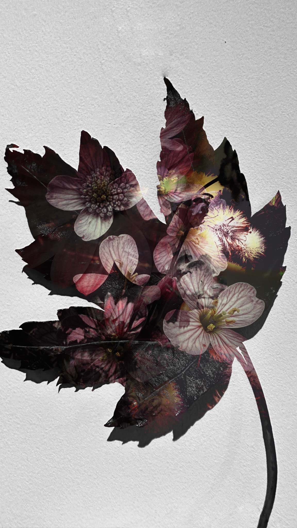 Scattered Leaves #21