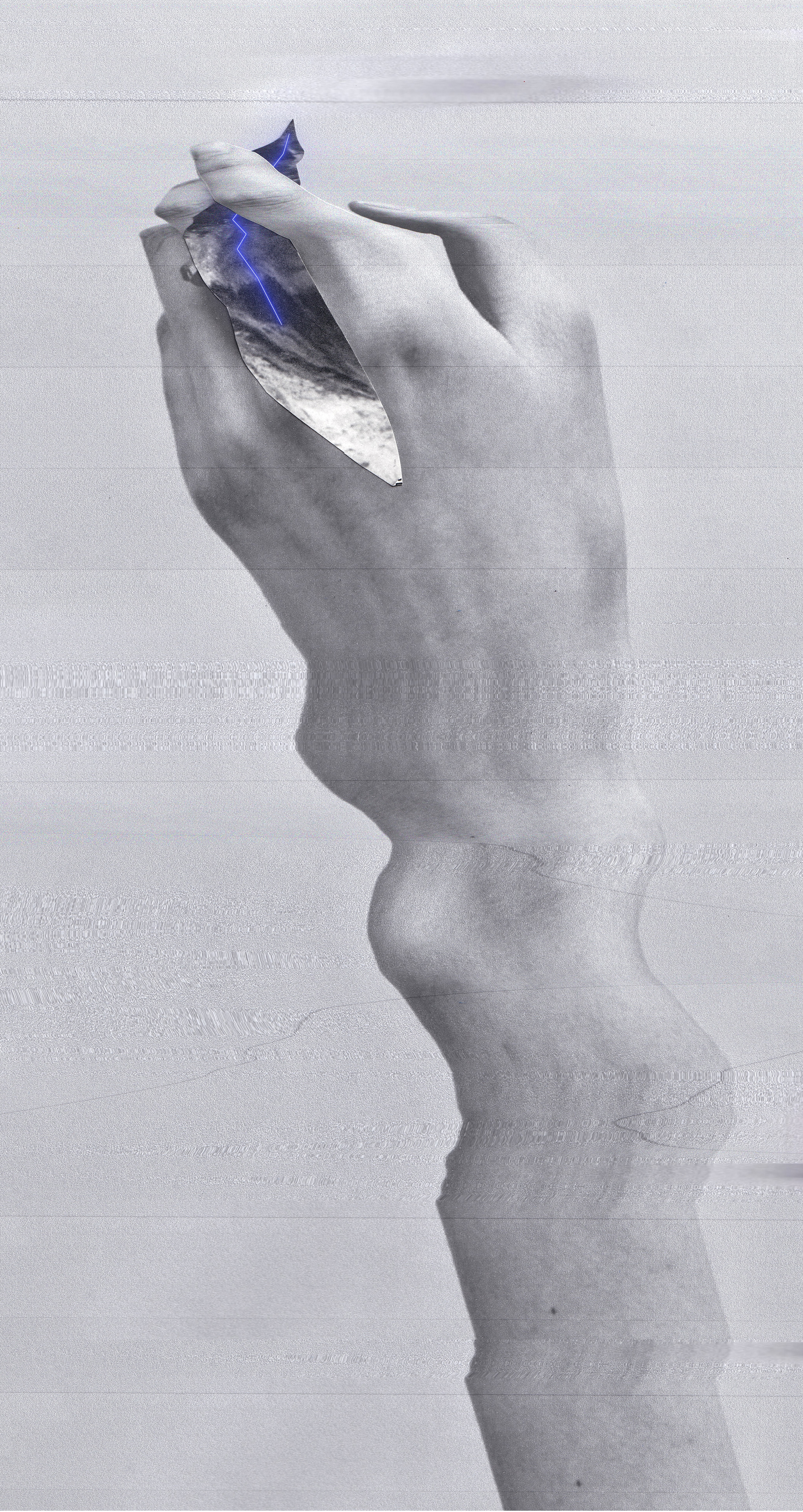 scanner study VII