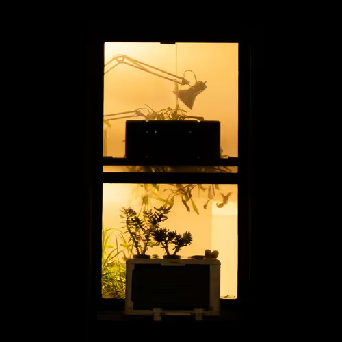 WINDOW #6