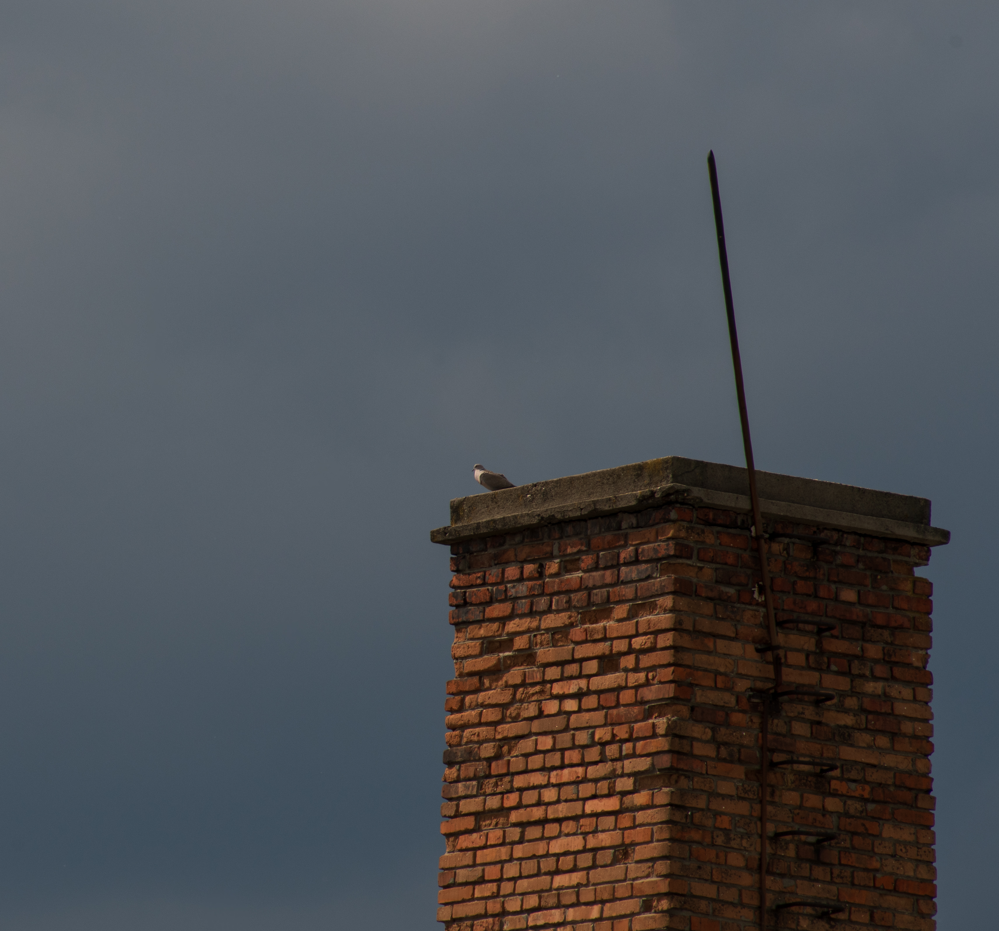 Solitary Stand [2]