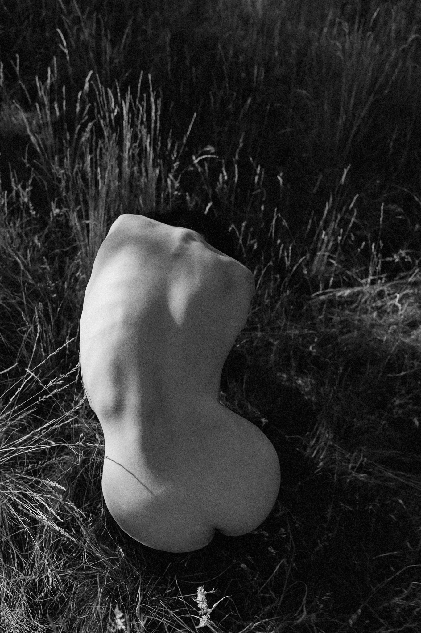 Seed