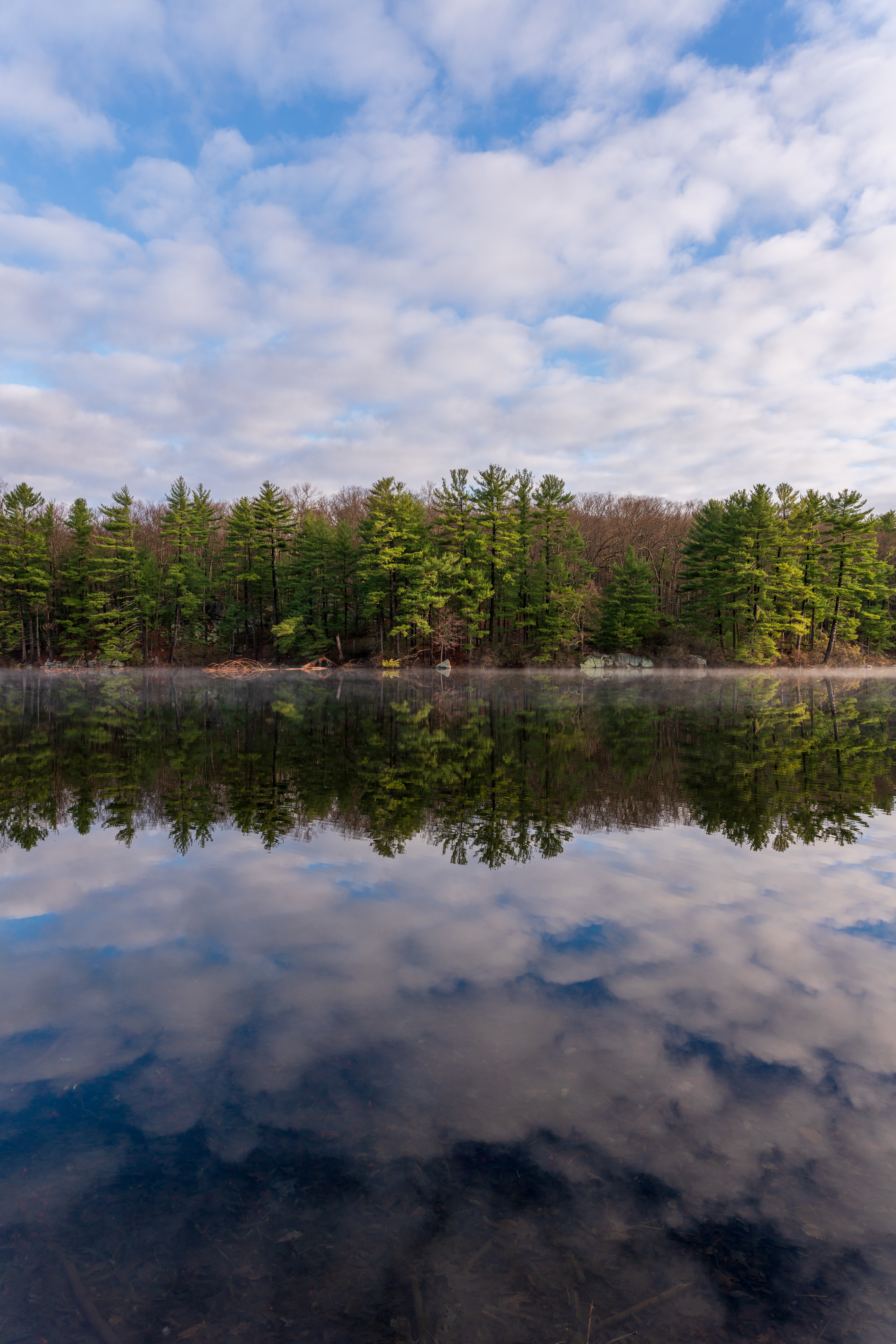 Nature’s Mirror